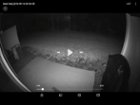 Beginng of video, click to load a larger version