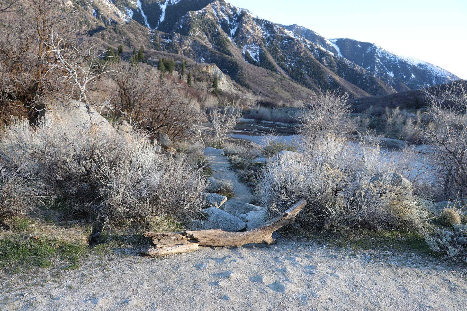 I take the camera with me everywhere and the pictures couldn't turn out any better, click to load a larger version