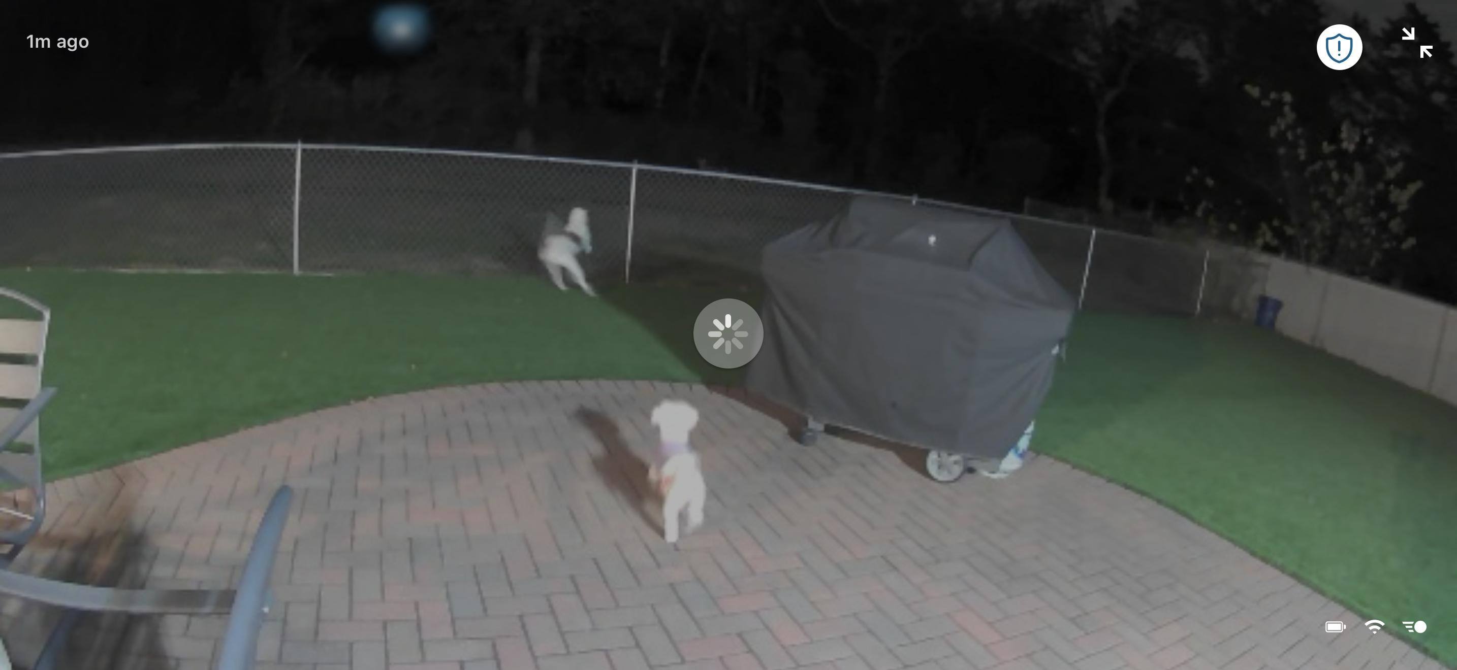 Customer provided image, click to load a larger version