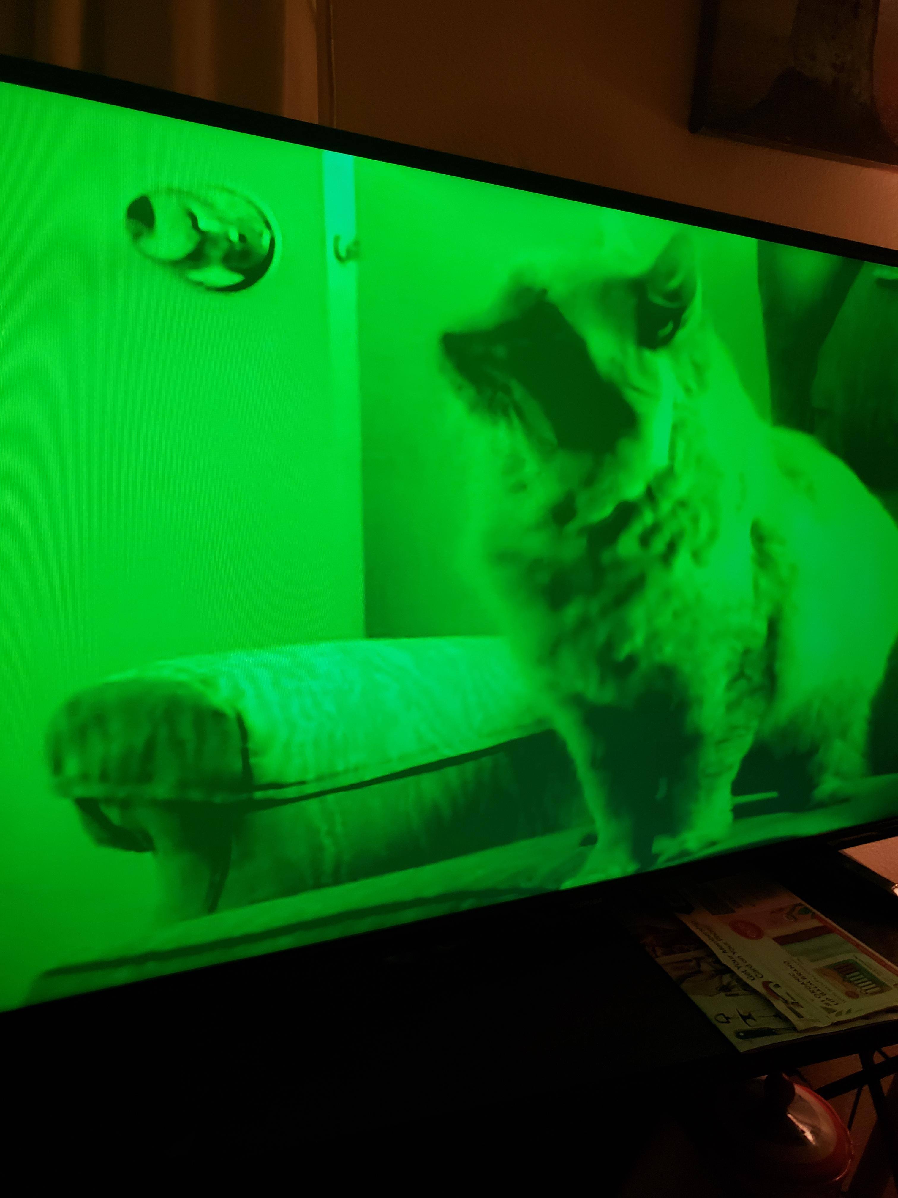 Customer provided image, click to load a larger version