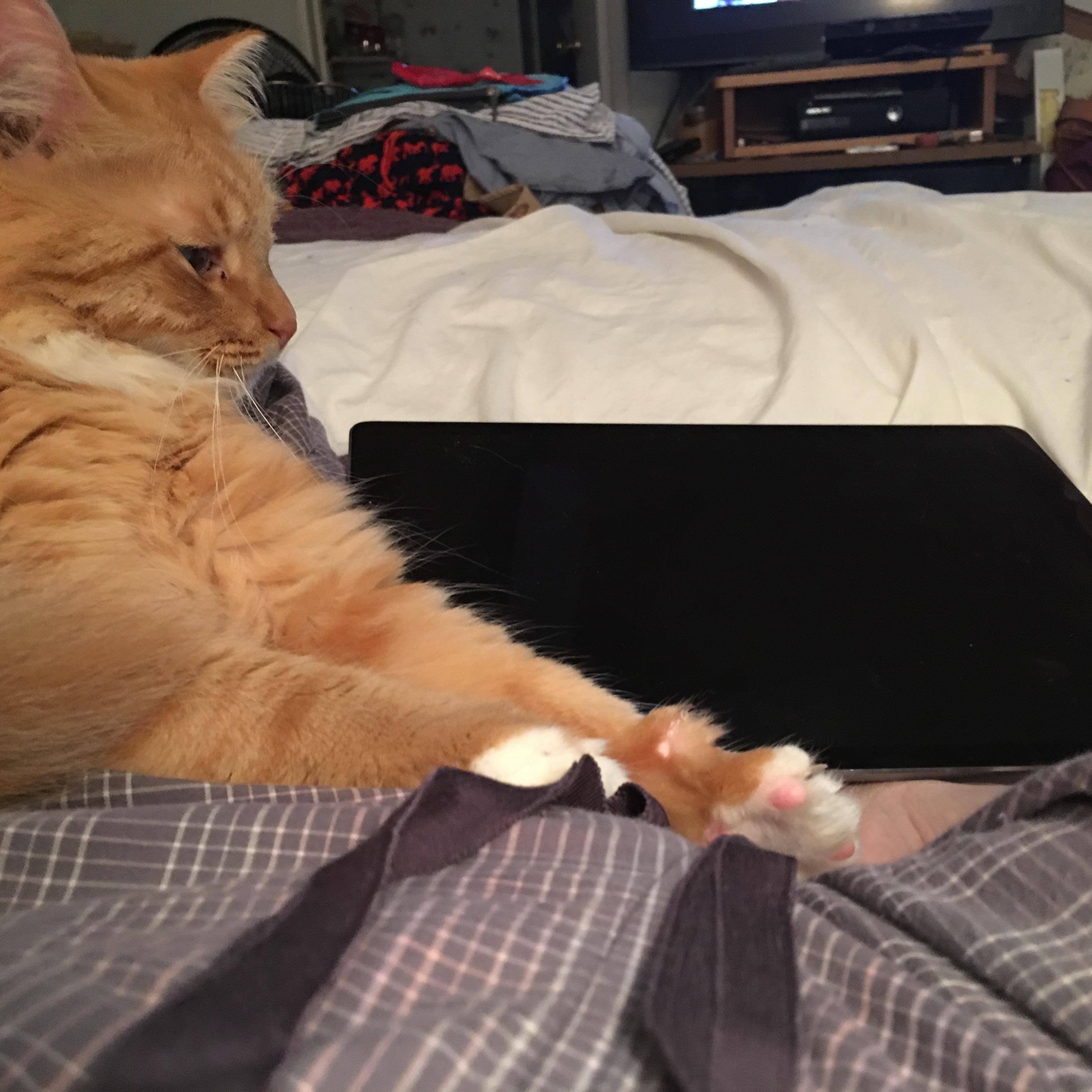 Just getting ready to do search out my buds, click to load a larger version