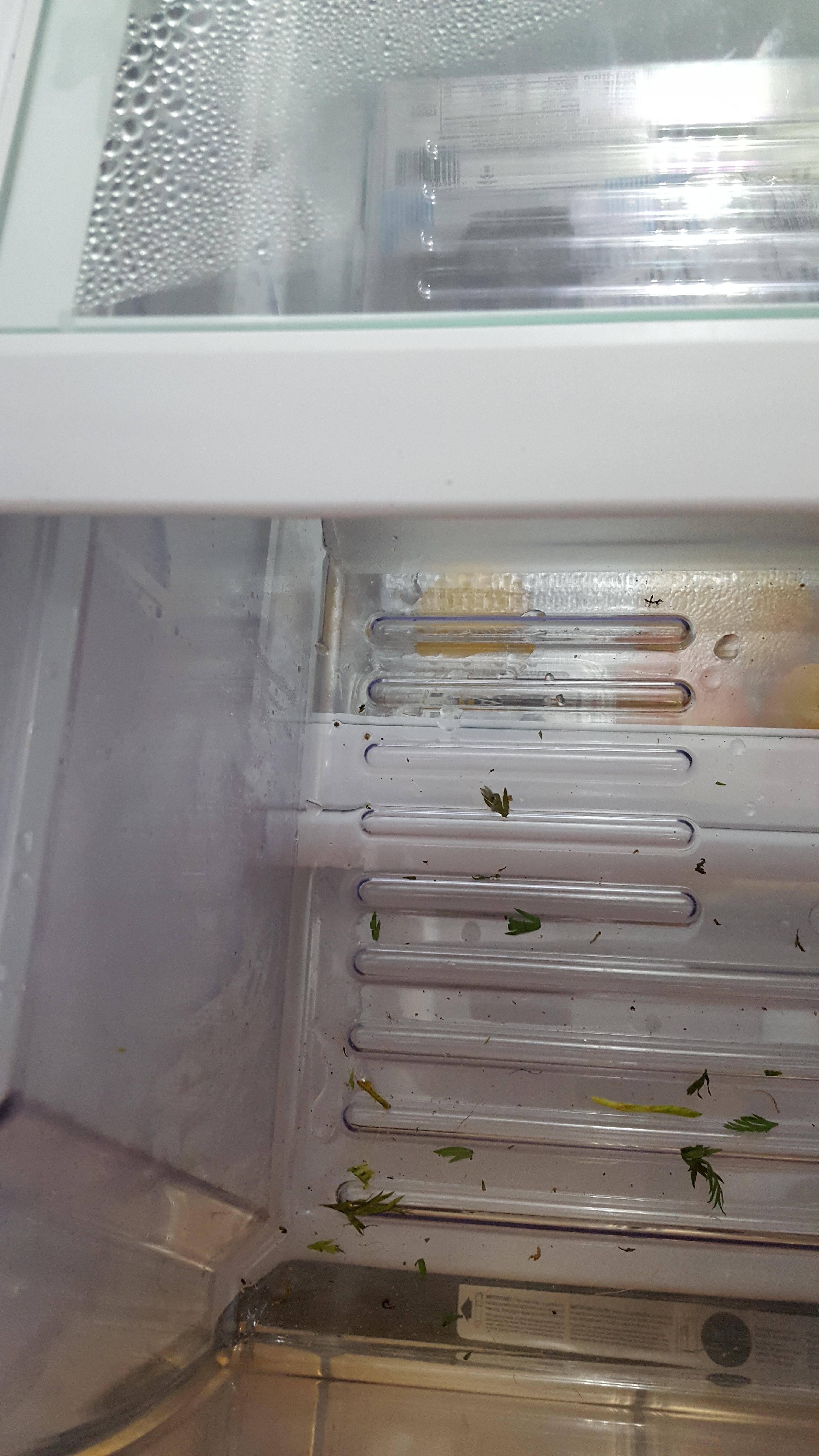 Left side has condensation pooling on left side of crisper drawer, click to load a larger version