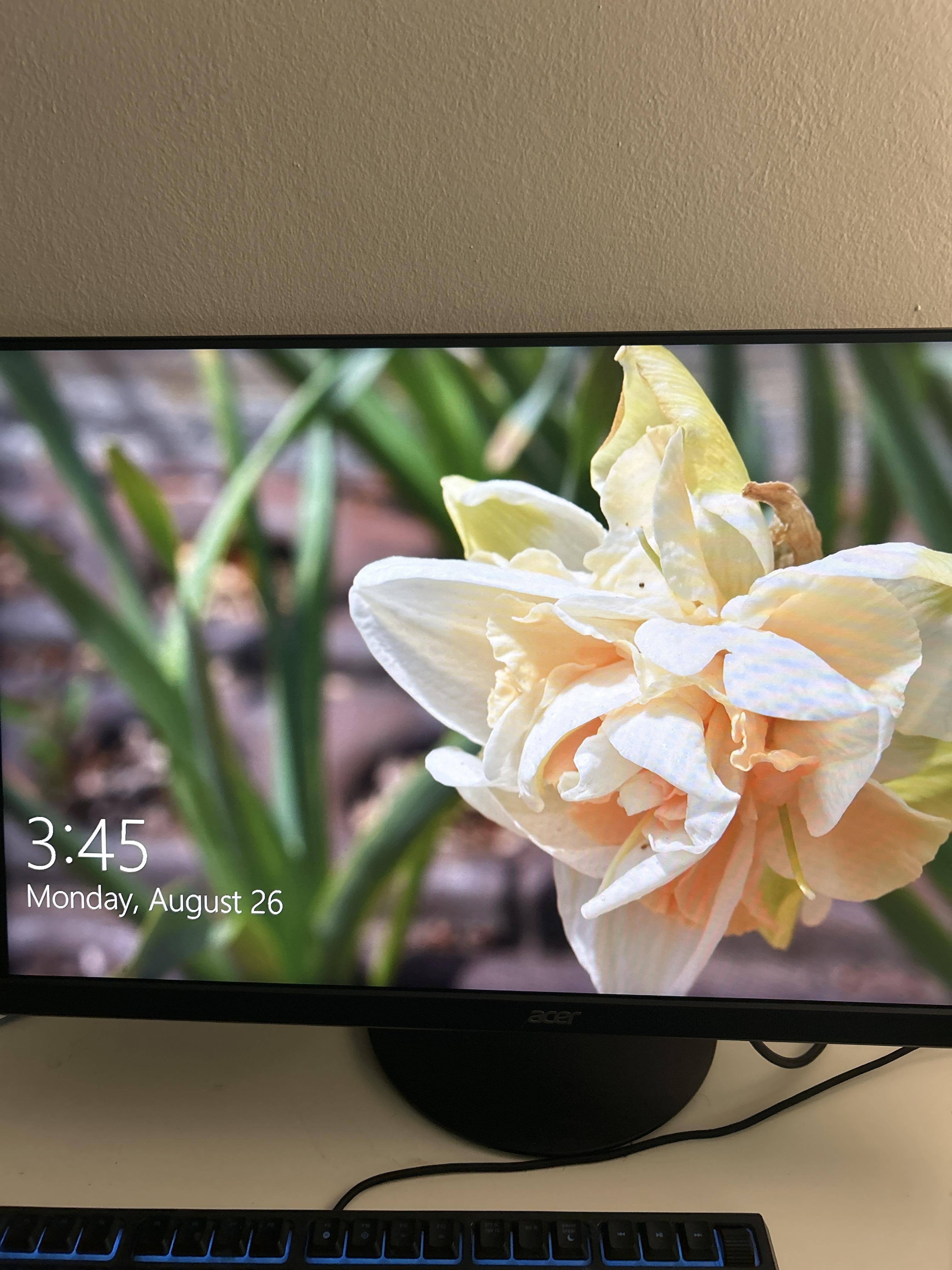 Customer provided, click to load a larger version