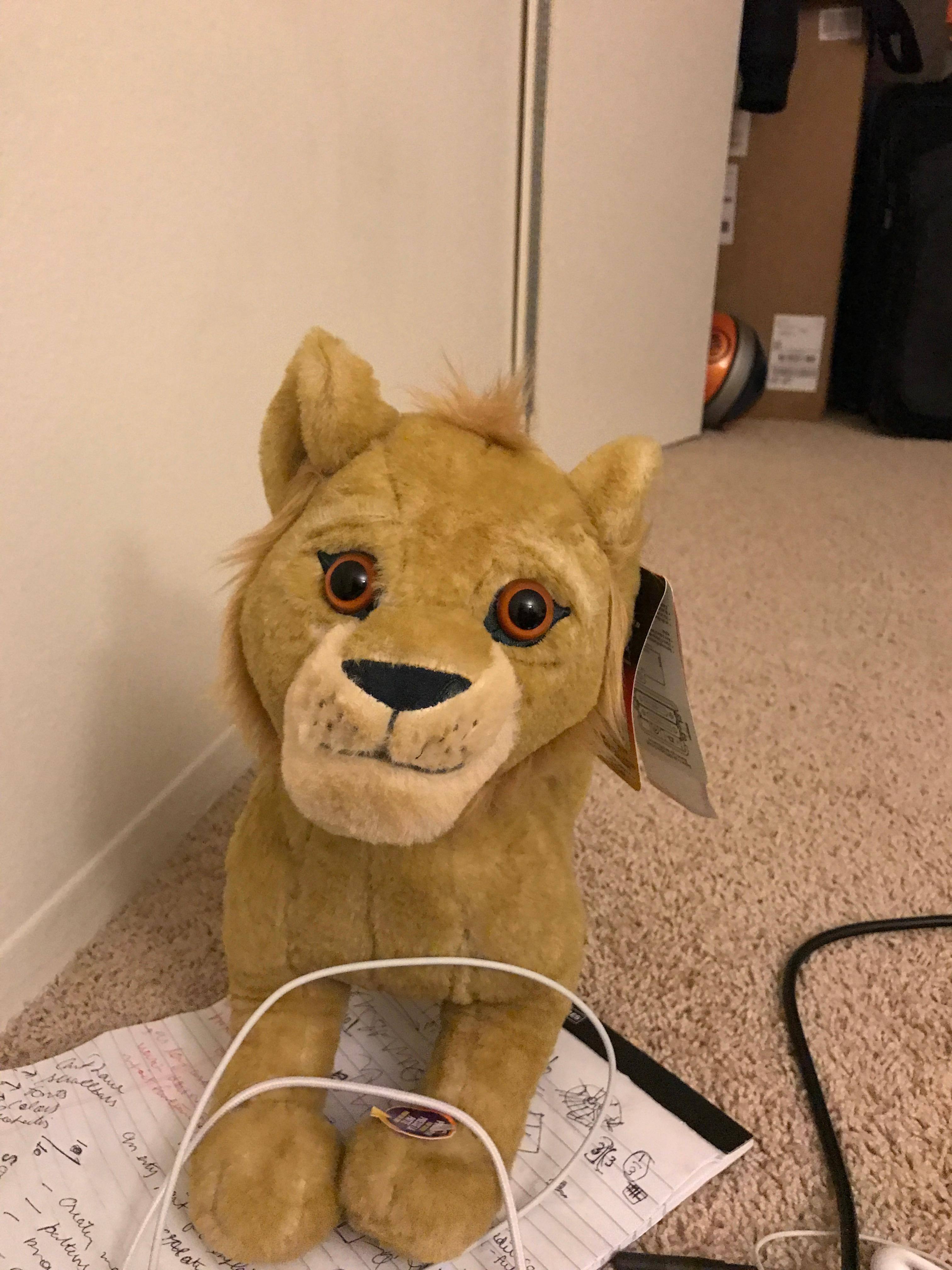 Customer provided, click to load a larger version