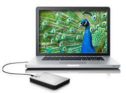 DAZZLING, click to load a larger version