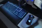 My mouse with my Ornata Chroma keyboard., click to load a larger version