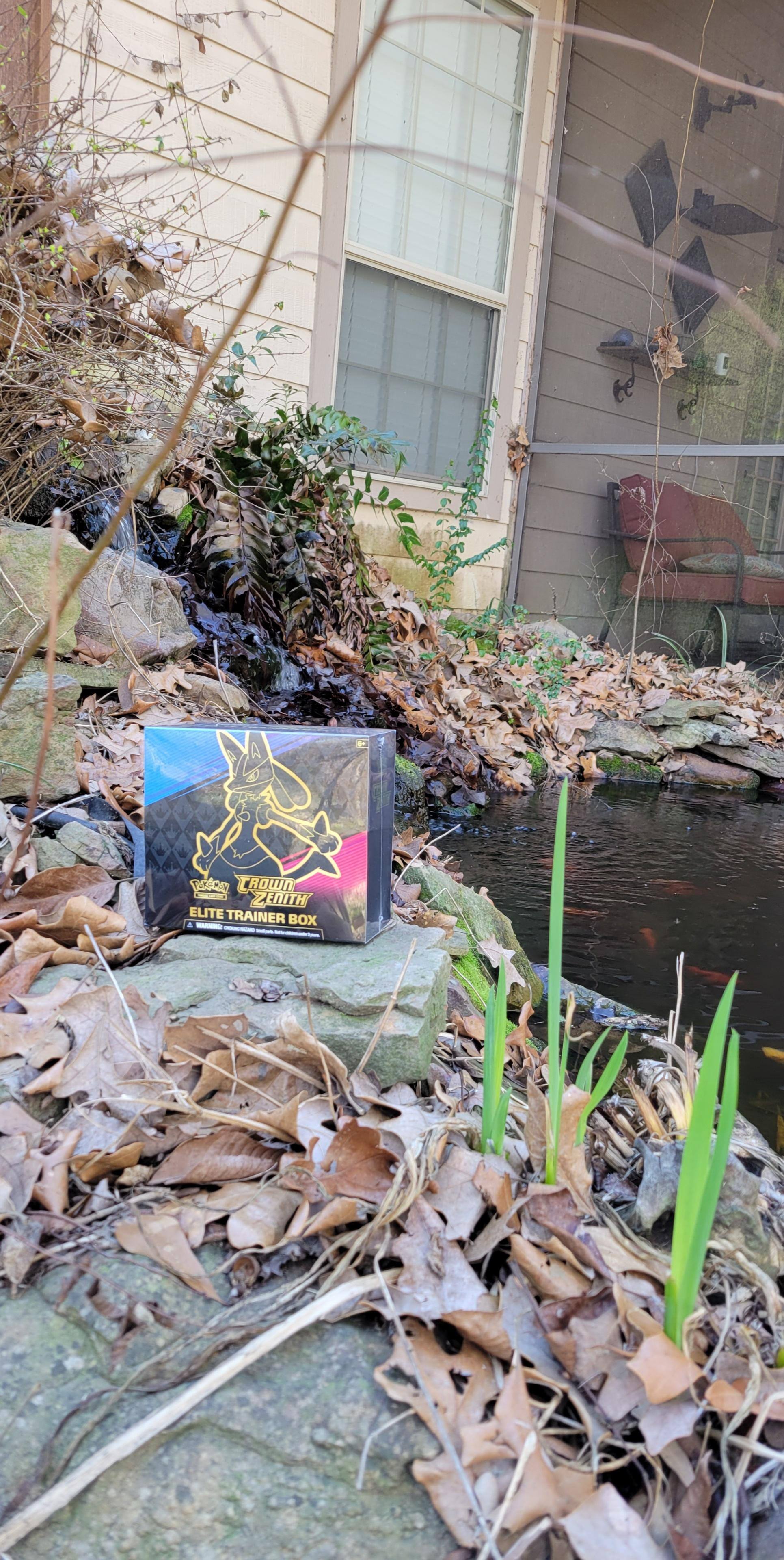 Customer provided image, click to load a larger version