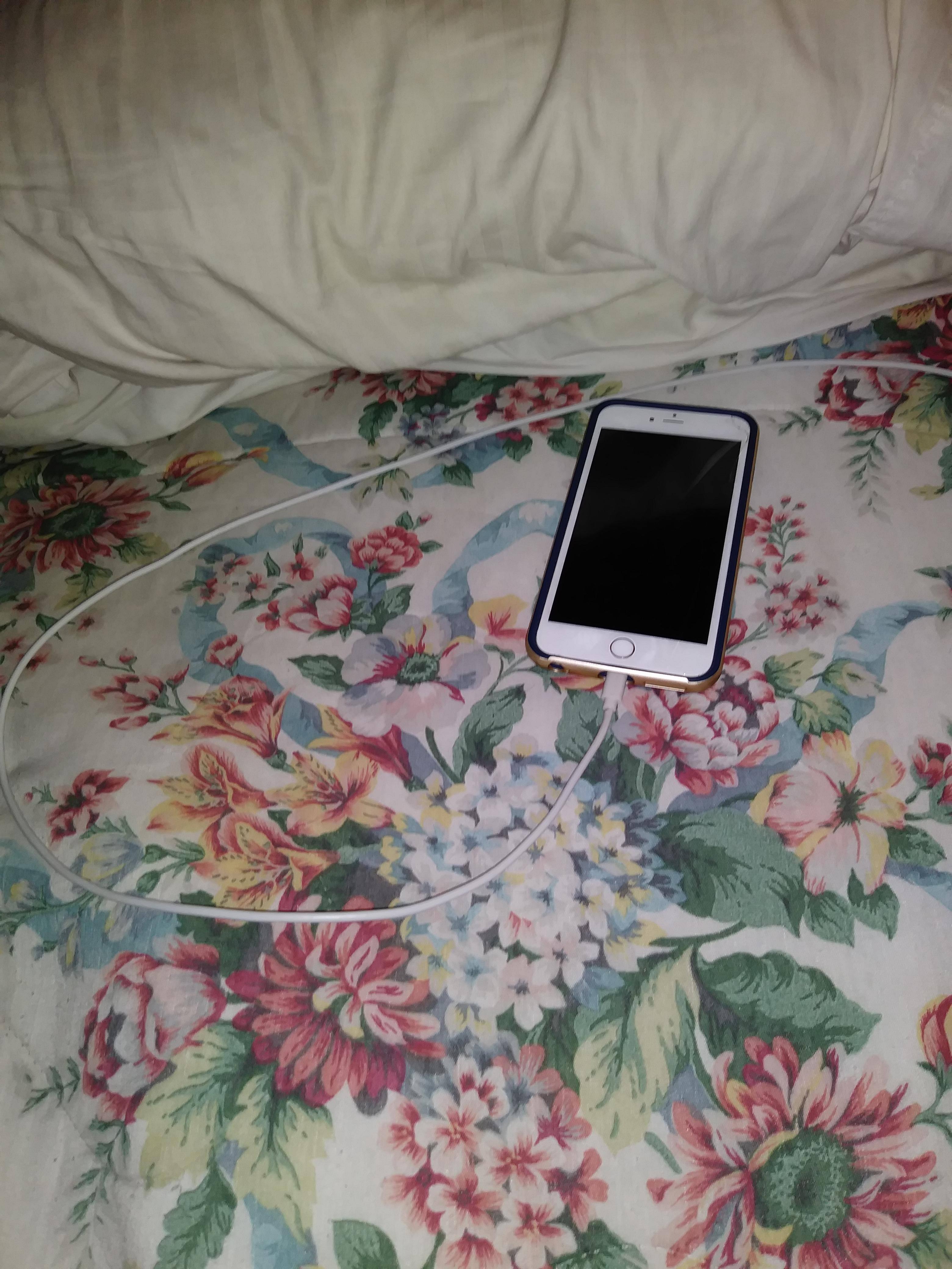 i phone 6s plus and lightning cable, click to load a larger version