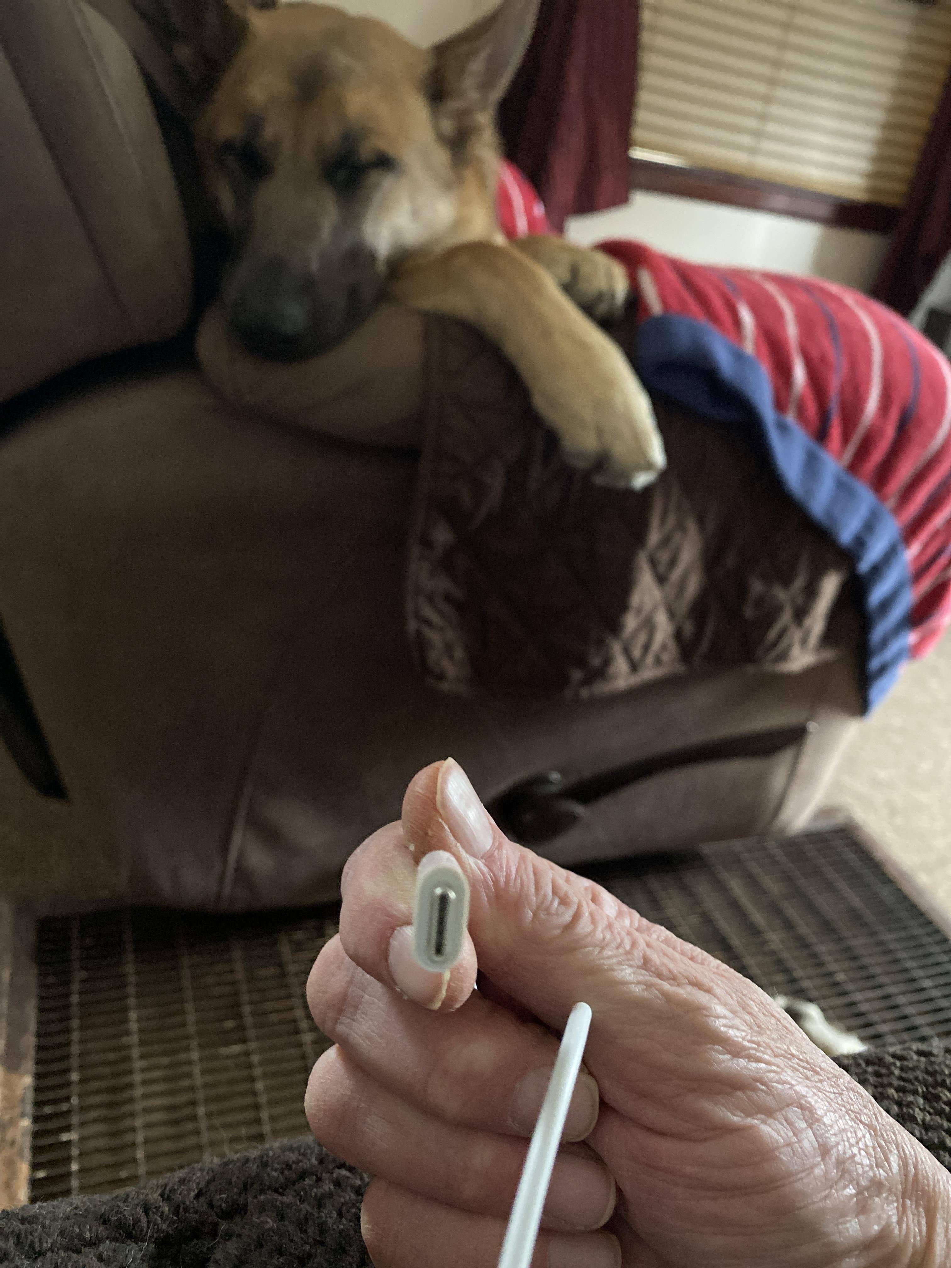 Customer provided, click to load a larger version