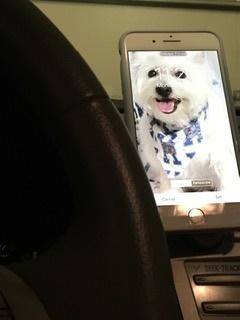 Positioned for easy viewing while driving, click to load a larger version