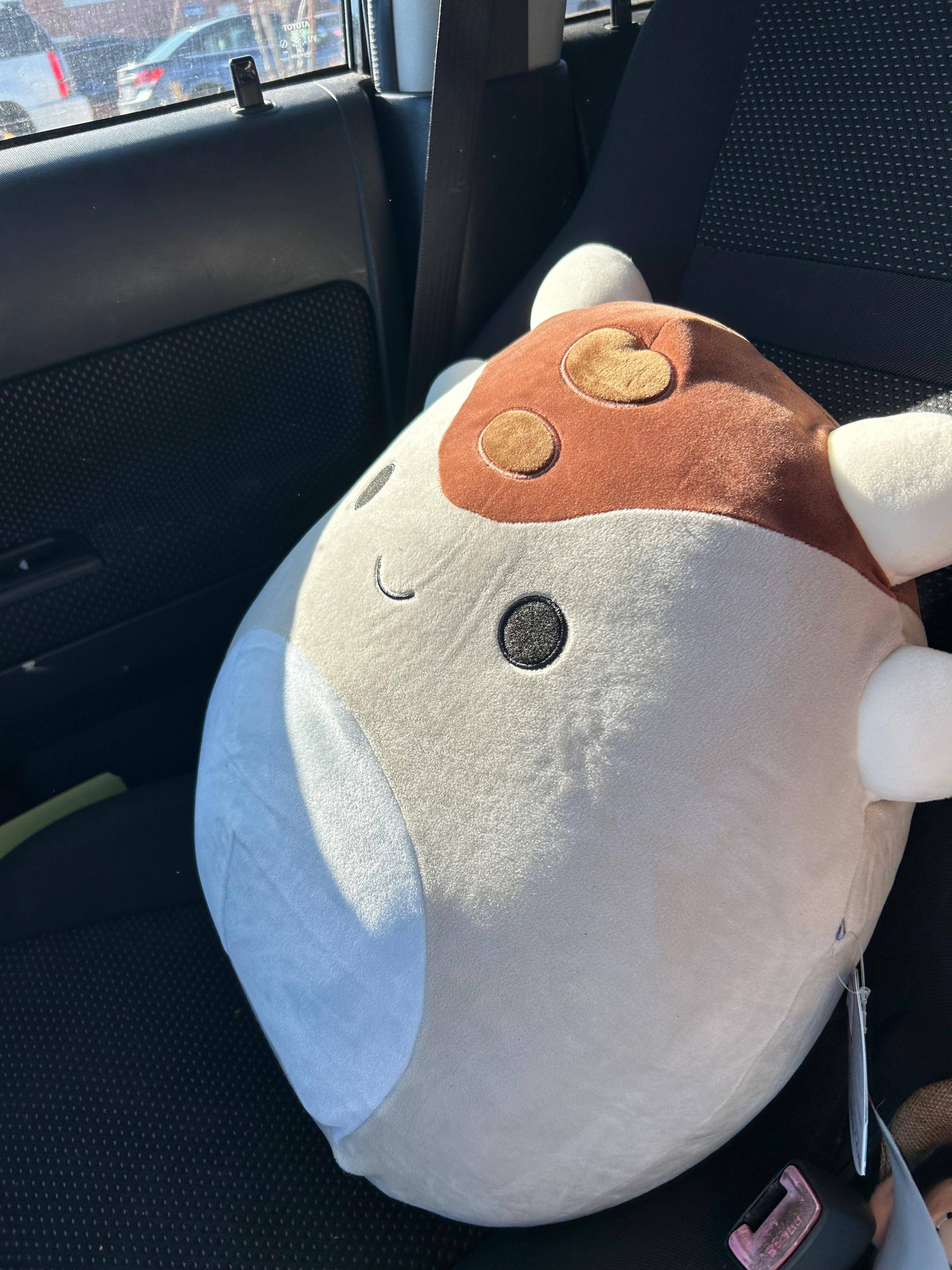 Customer provided image, click to load a larger version