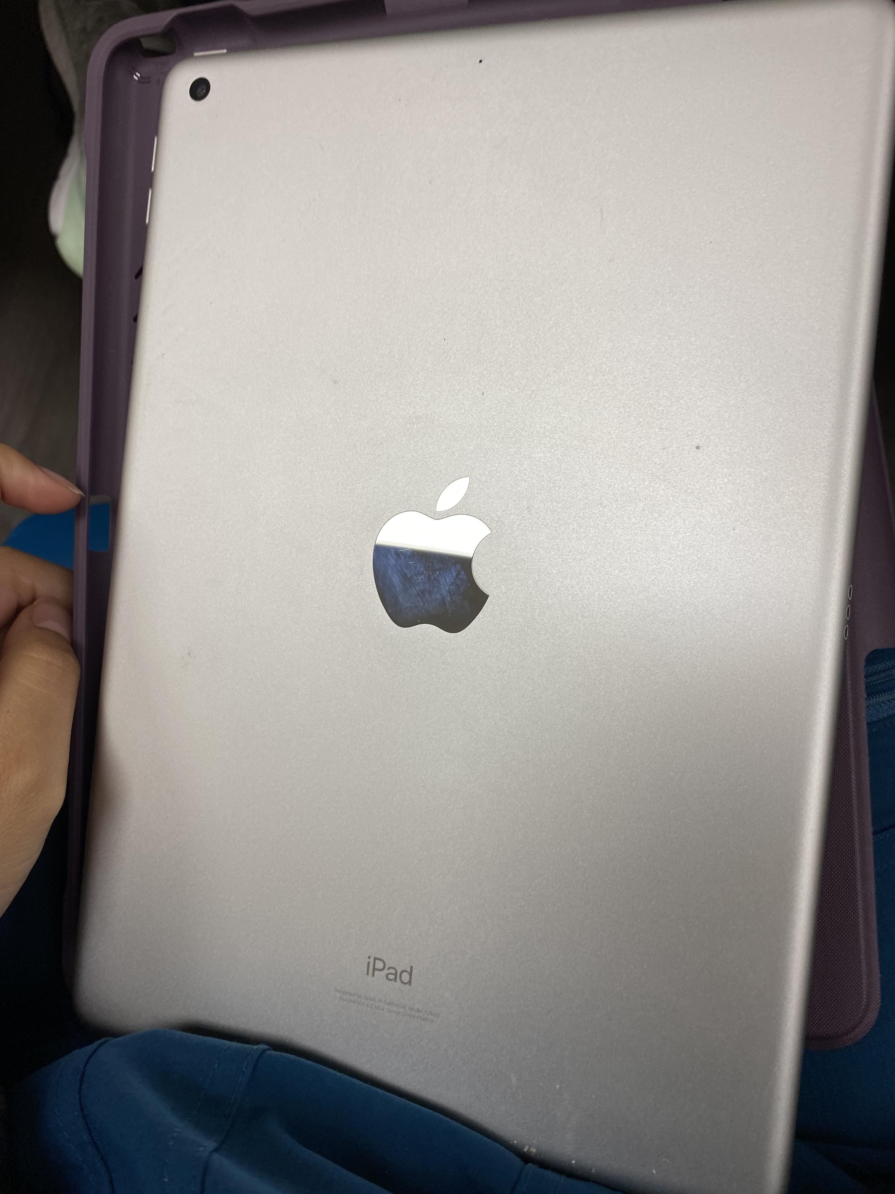Apple Geek Squad Certified Refurbished 10.2 Inch iPad with Wi Fi