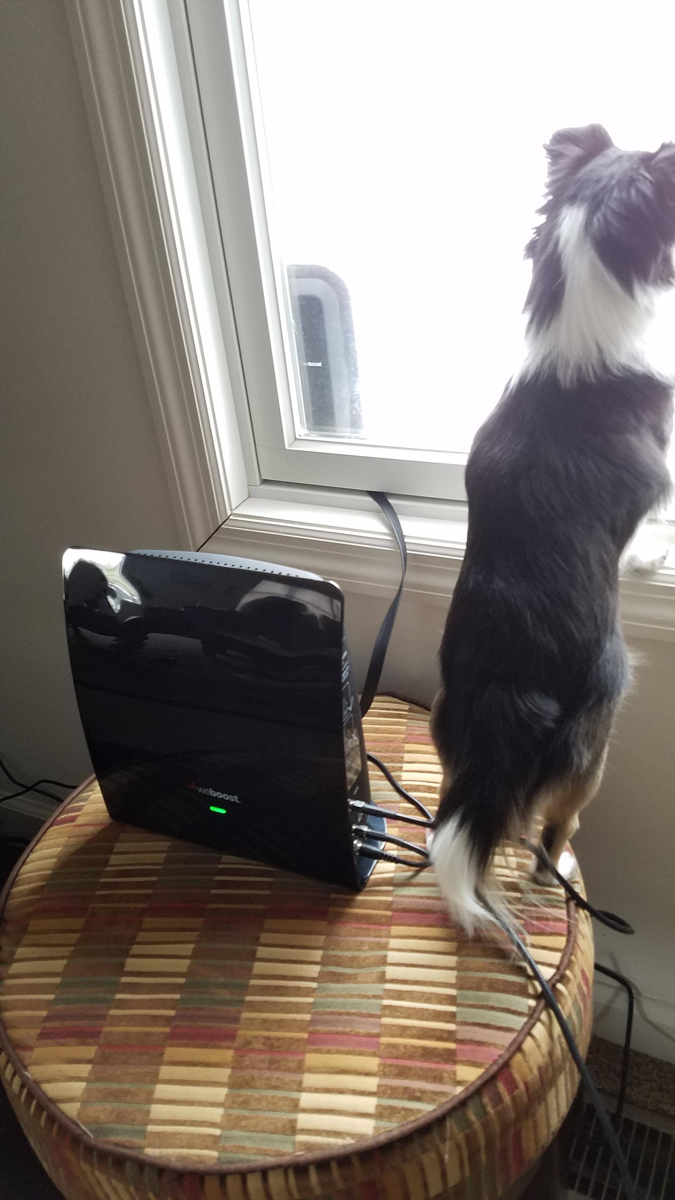 Inside and Outside Antennas, click to load a larger version