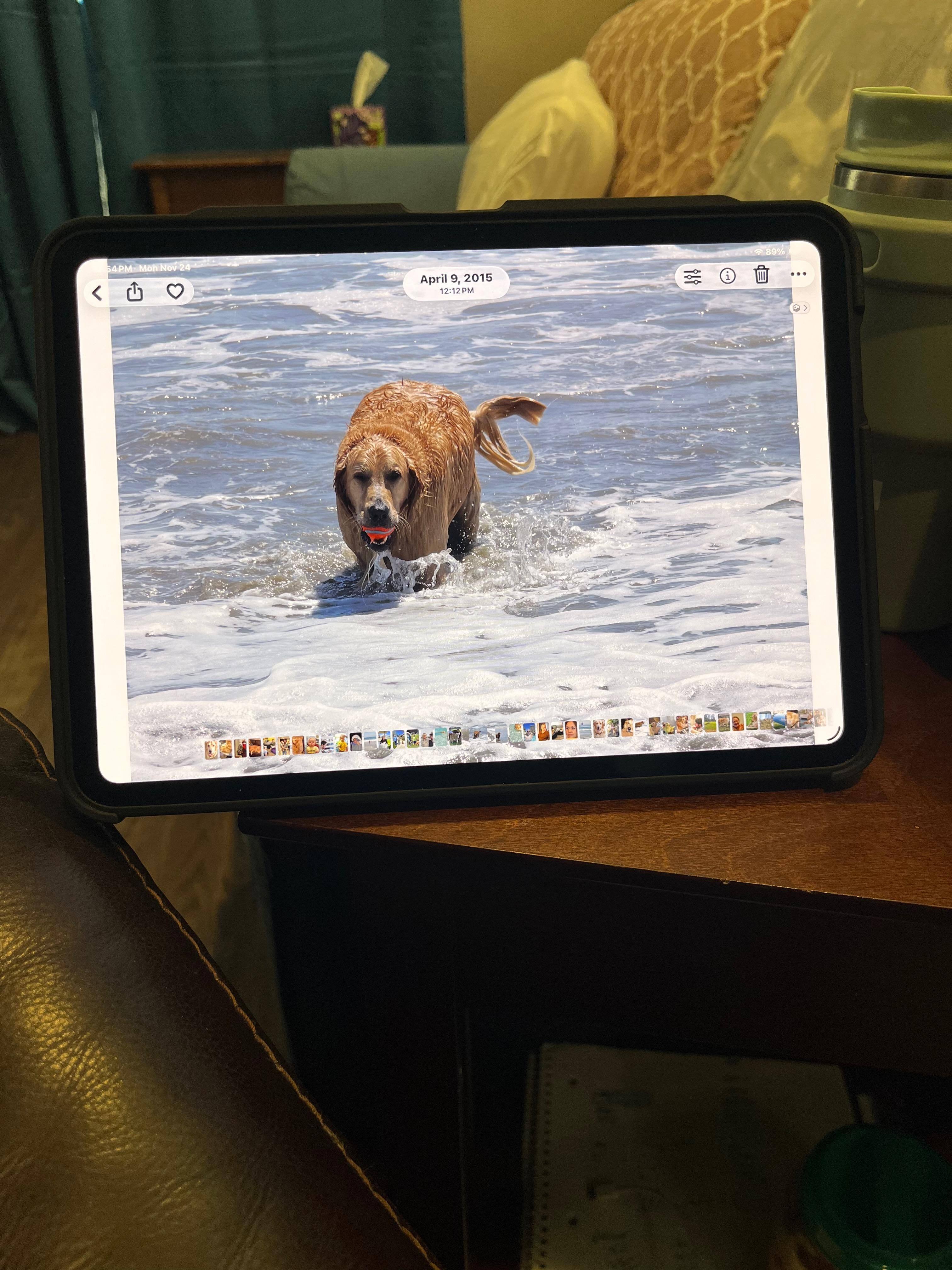 Customer provided, click to load a larger version