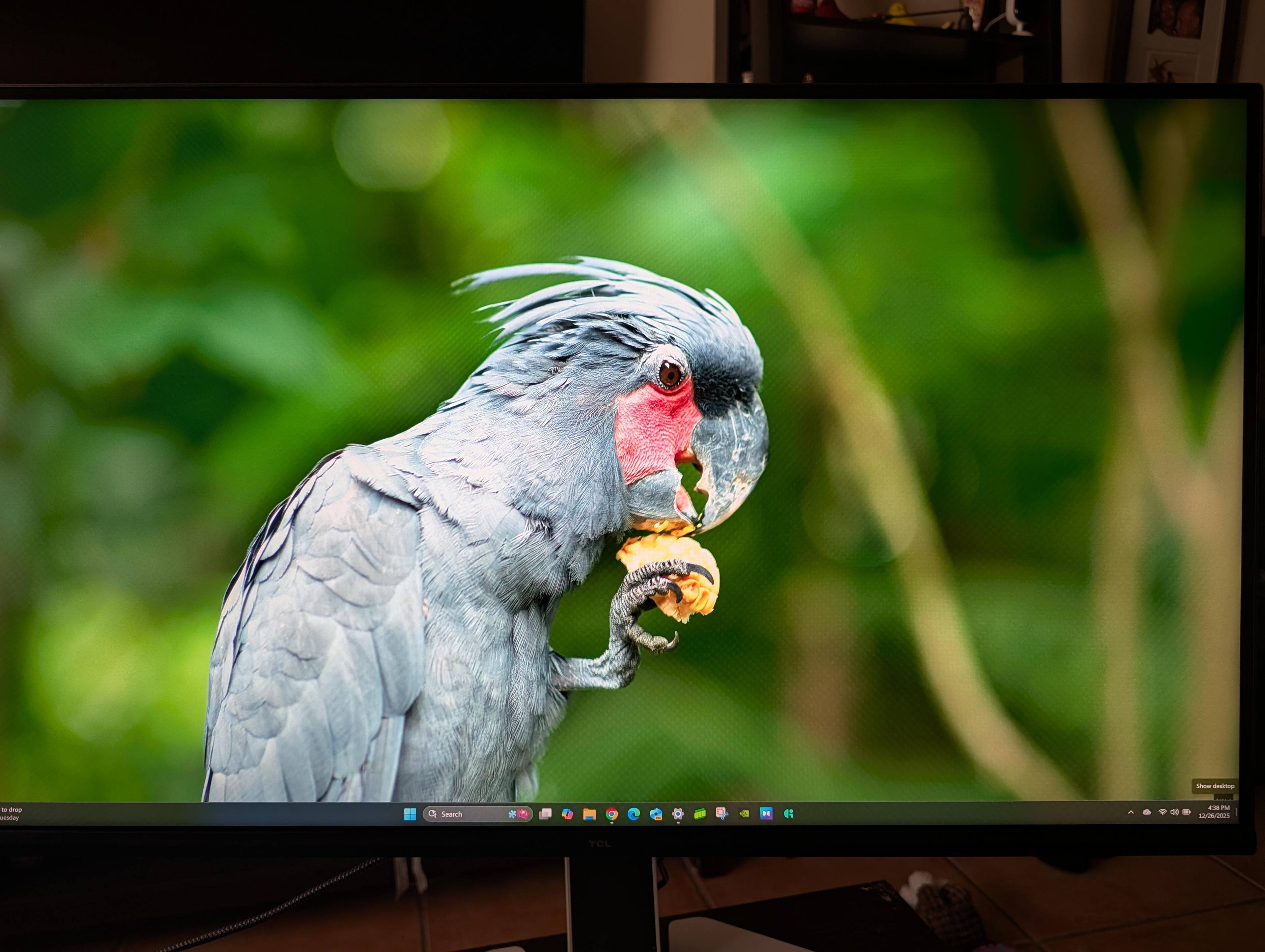 Customer provided image, click to load a larger version