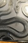 The snake design covers up the Samsung logo, click to load a larger version