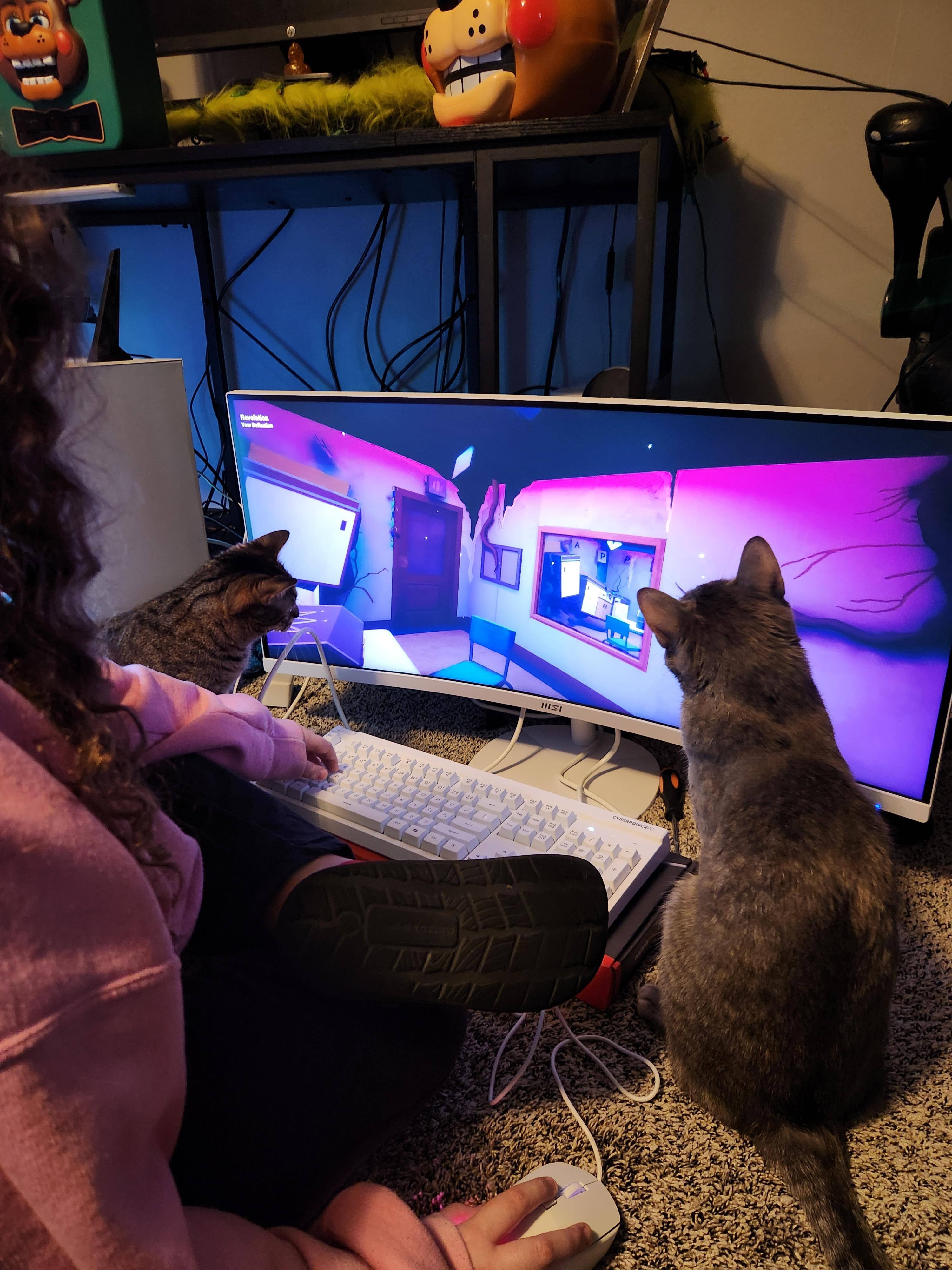 Customer provided image, click to load a larger version