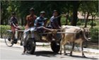 The Joy Ride, click to load a larger version