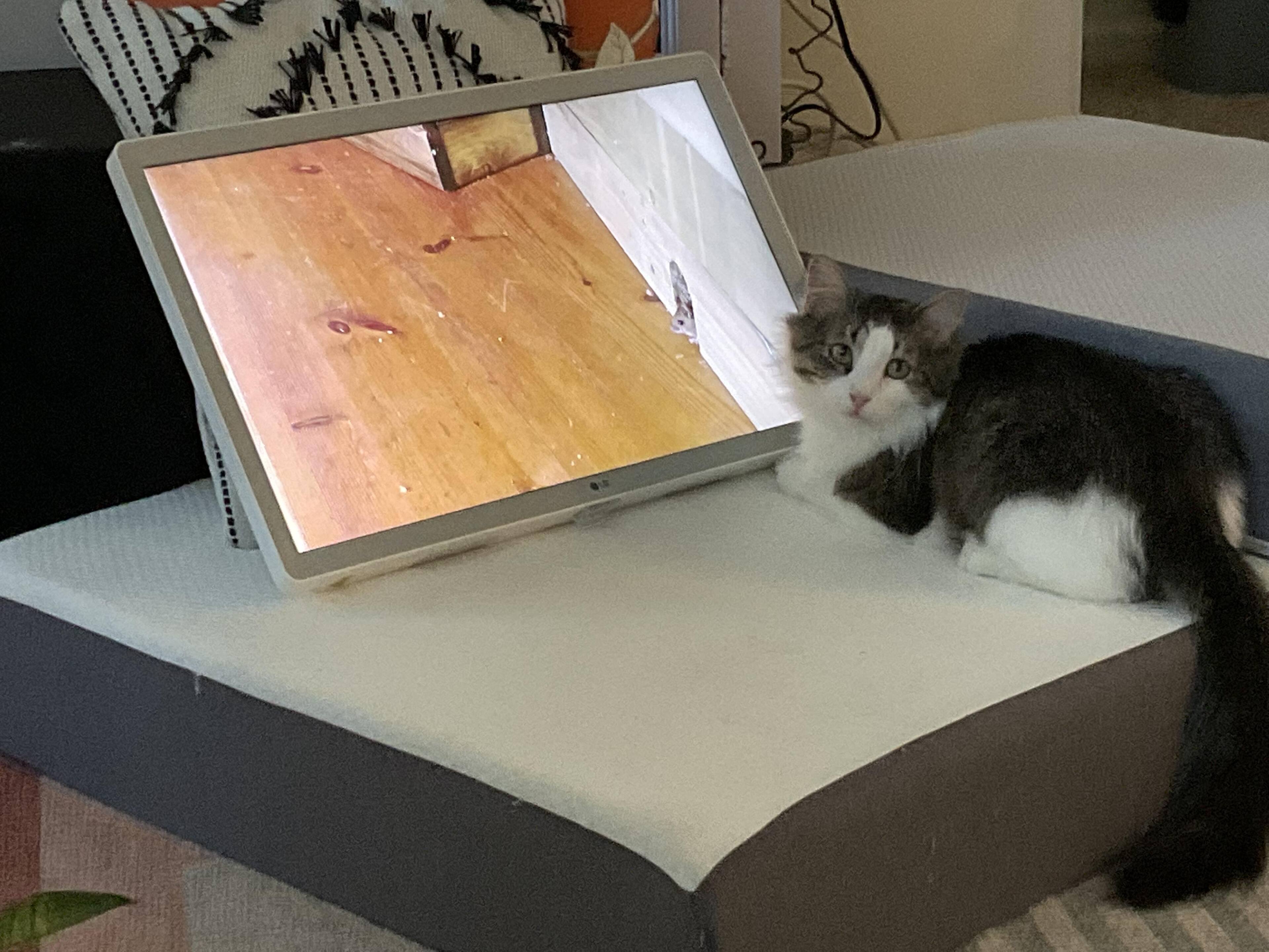 Customer provided, click to load a larger version