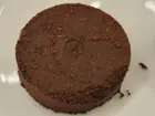 coffee "puck" from the built-in grinder, click to load a larger version