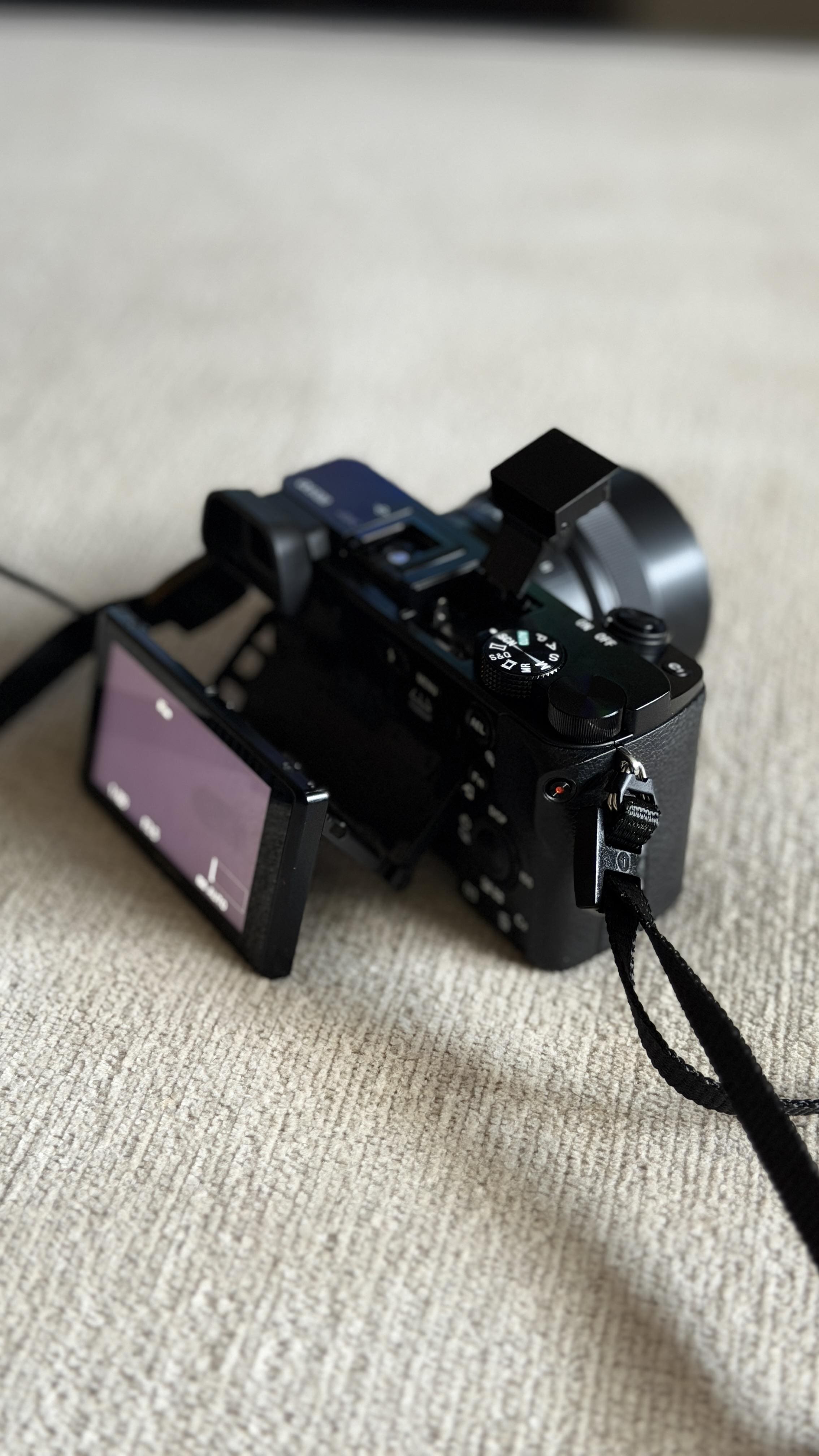Sony Alpha 6100 APS C Mirrorless Camera 4K Video Camera with E PZ