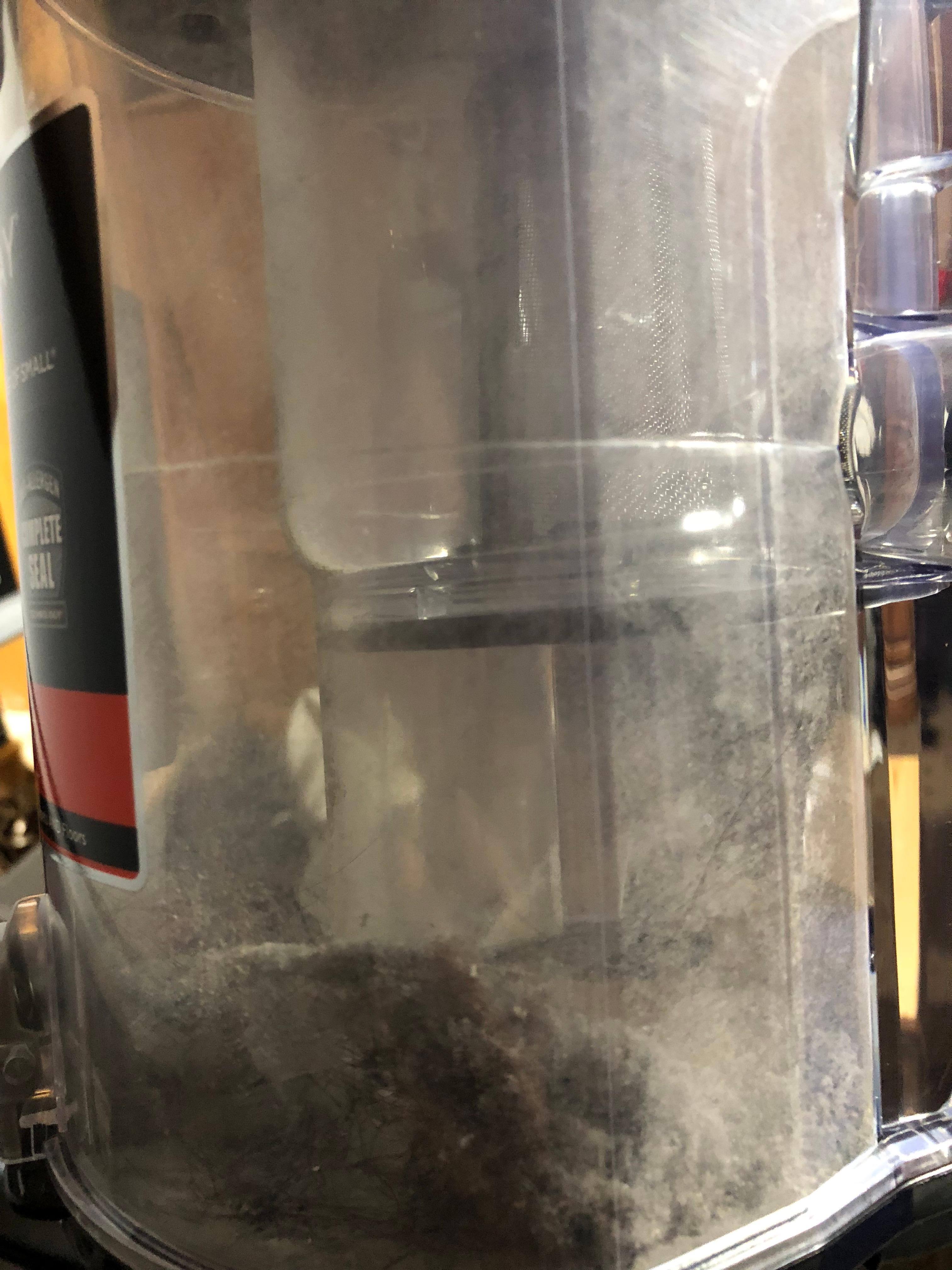 Shark After, click to load a larger version