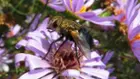 Quick Macro Test, click to load a larger version