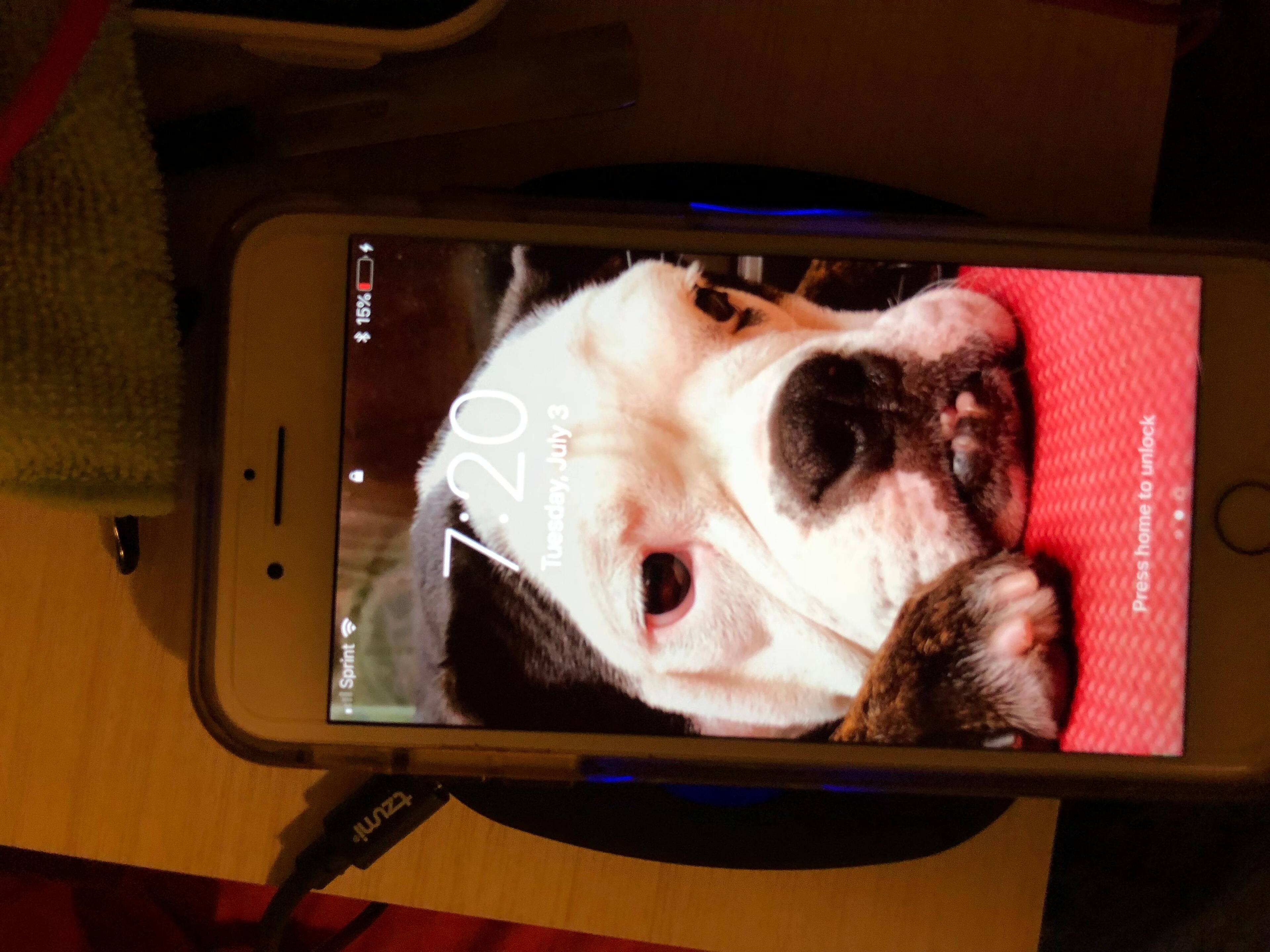 Customer provided image, click to load a larger version