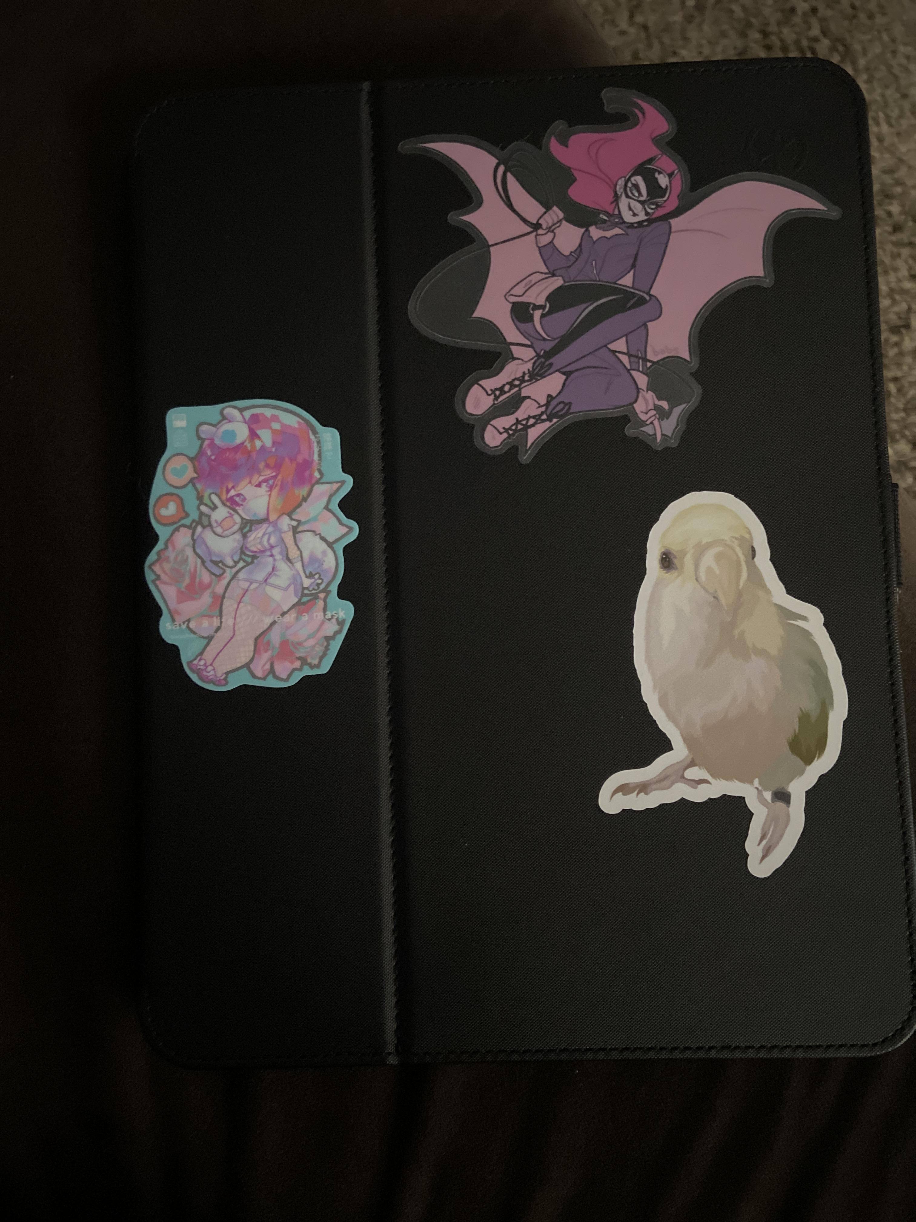 Customer provided, click to load a larger version