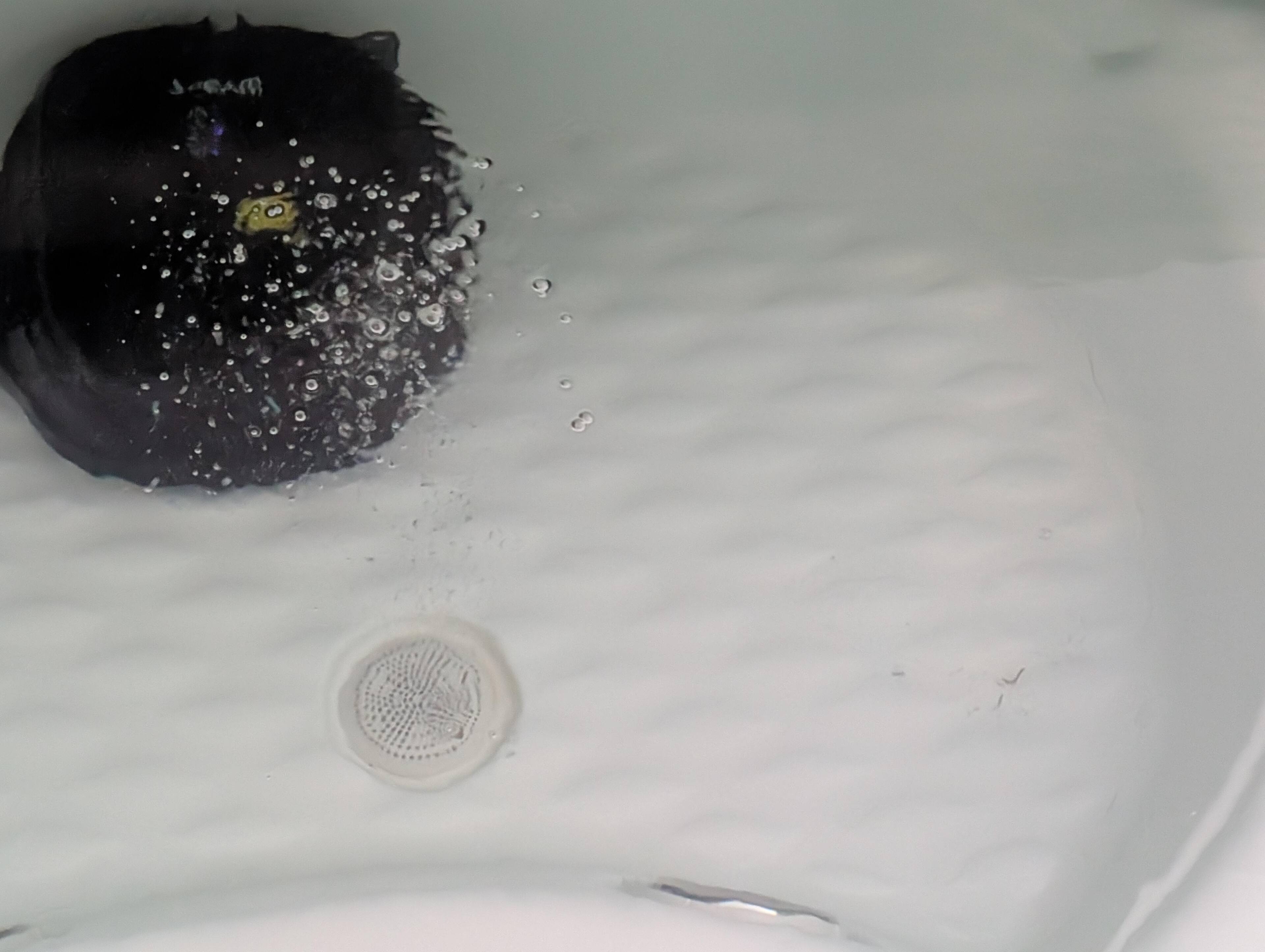 After pic, perfectly clean!, click to load a larger version