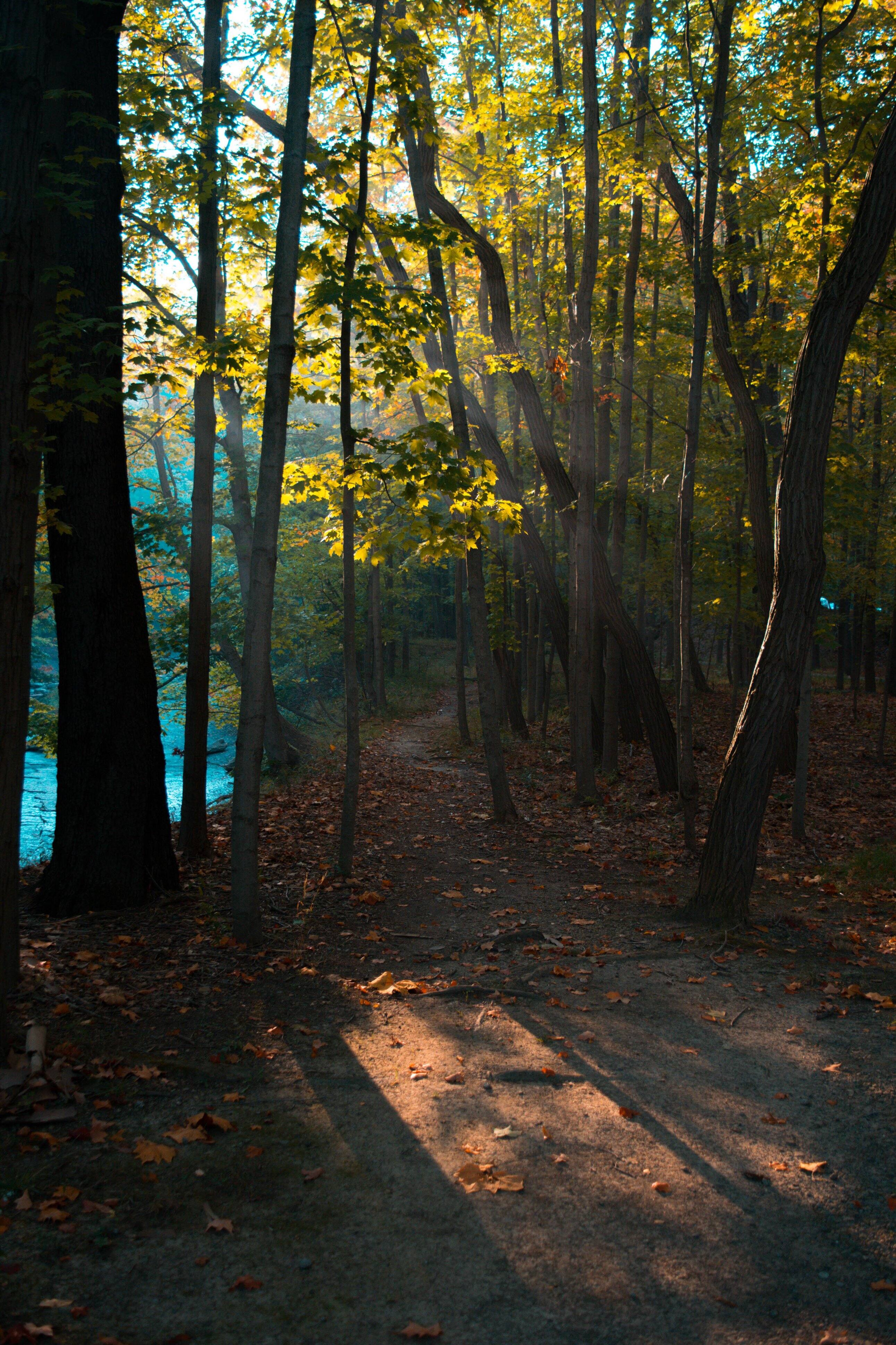 Outdoor Photography Example, click to load a larger version