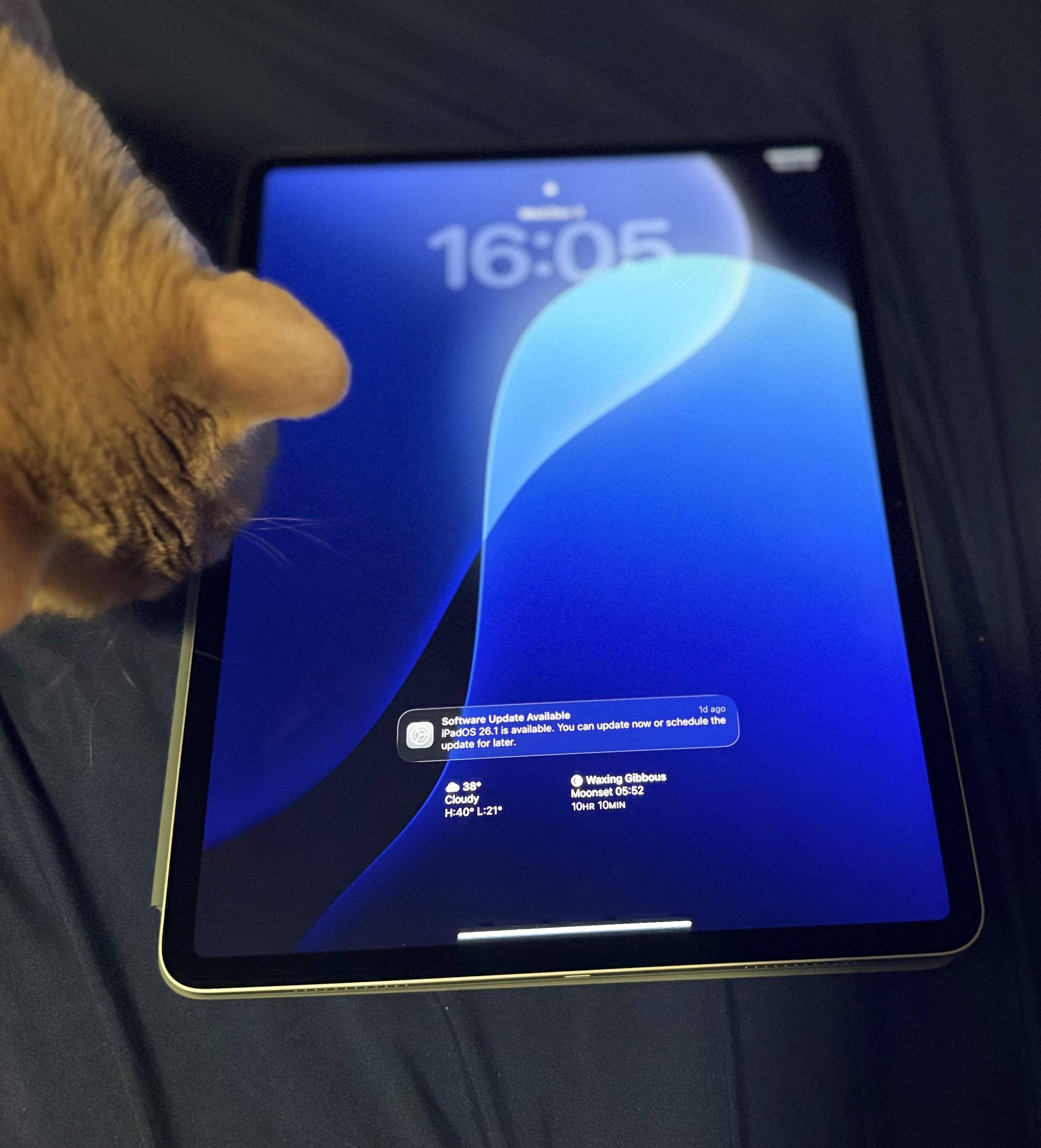 Customer provided image, click to load a larger version