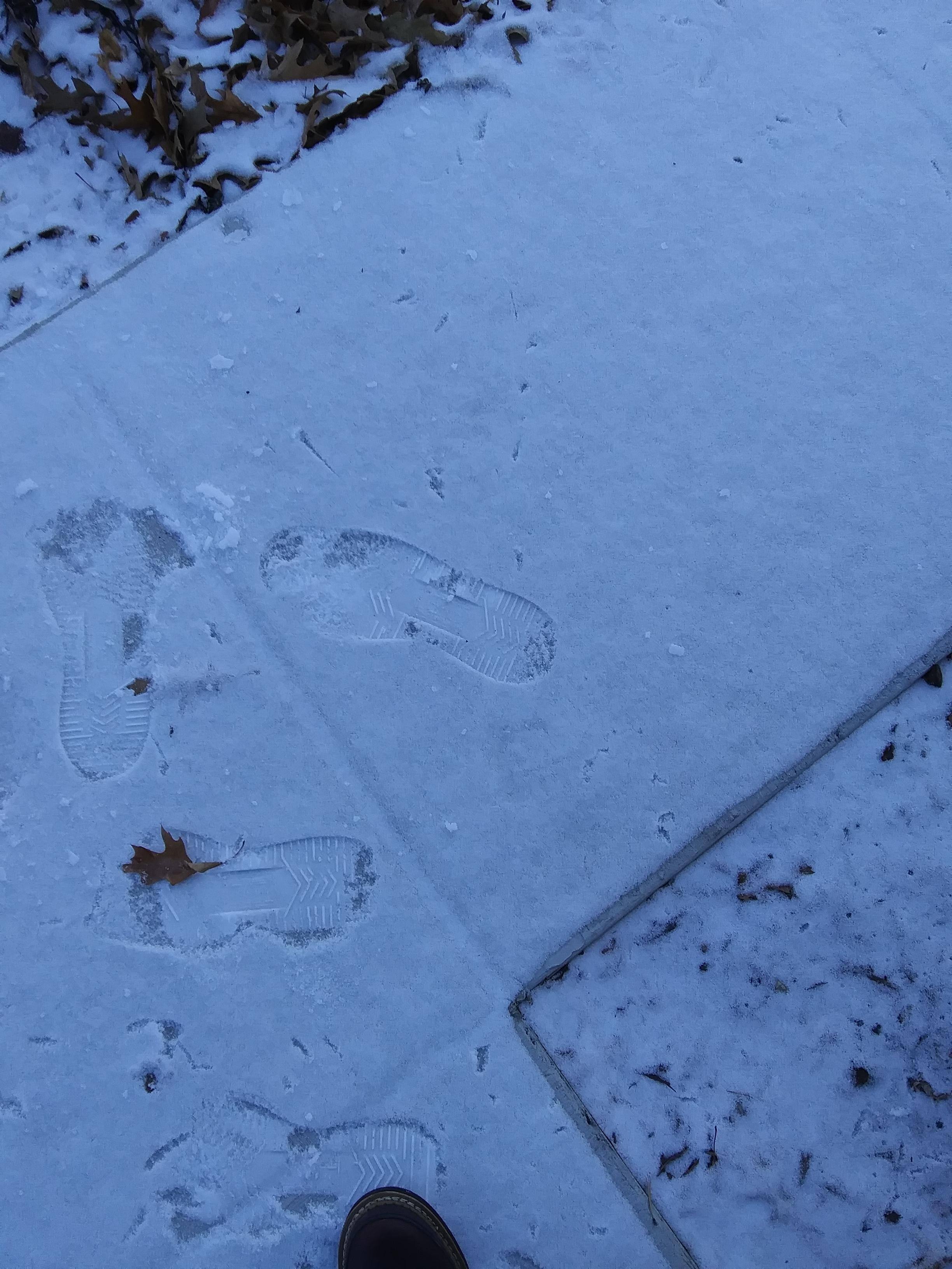 Before Hoover Blower, click to load a larger version