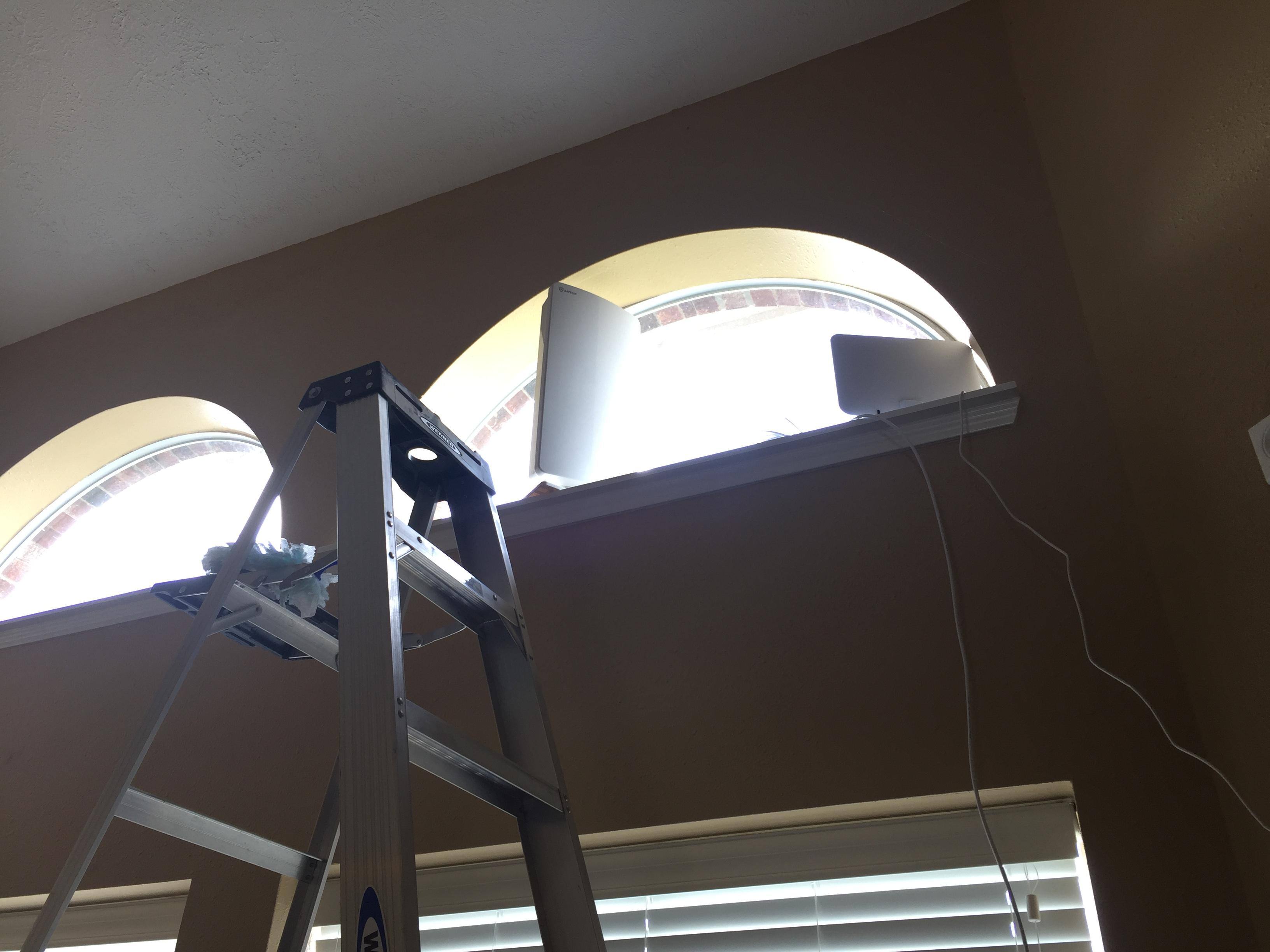 Indoors in a high window, click to load a larger version