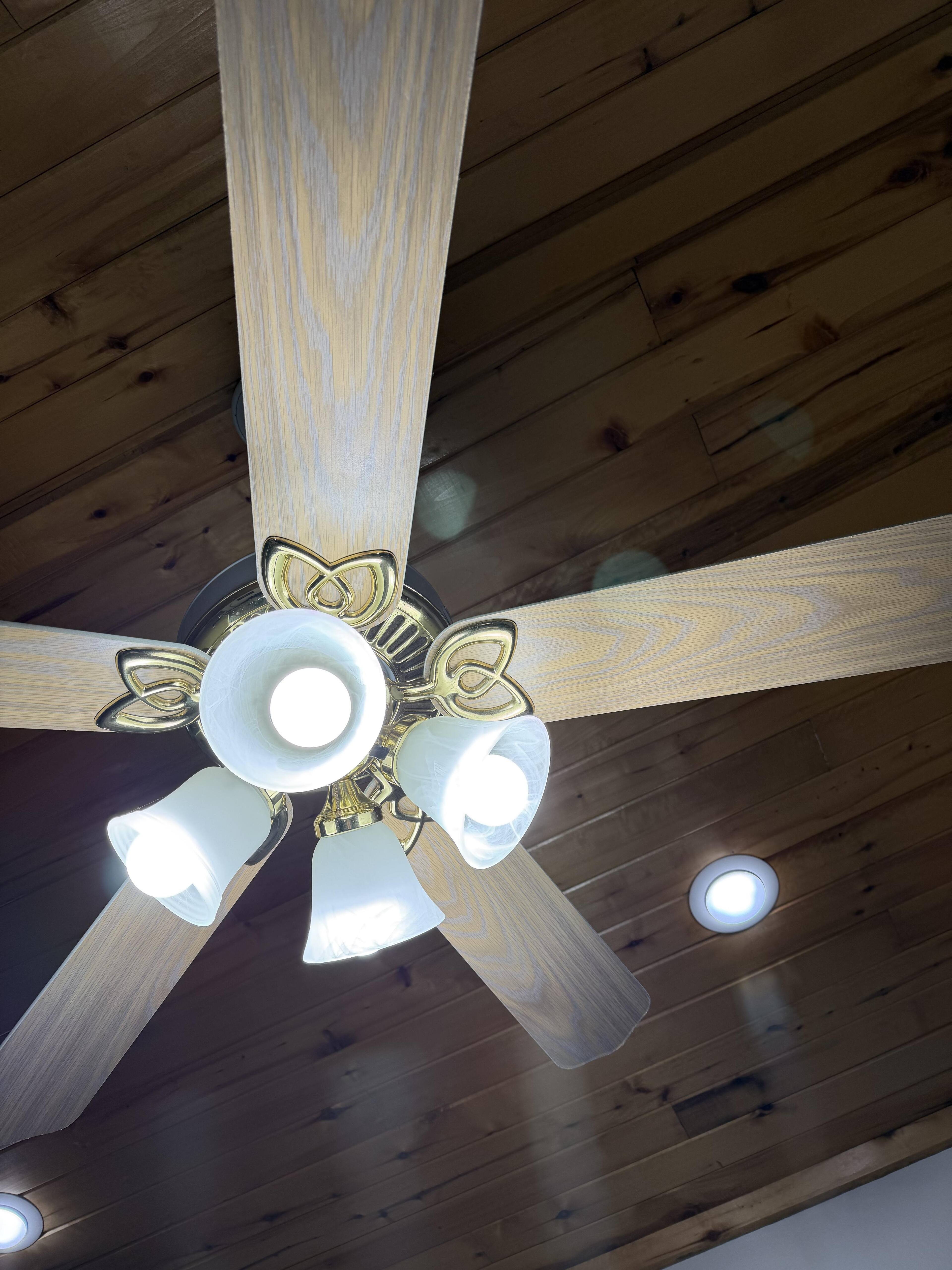 With the lens protectors installed, click to load a larger version