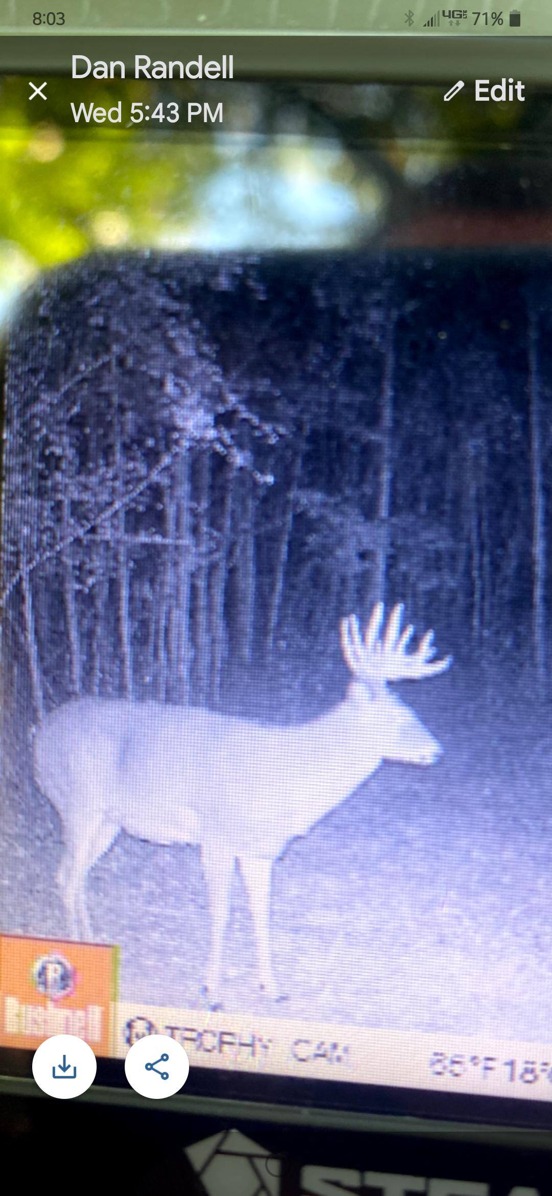 Customer provided image, click to load a larger version