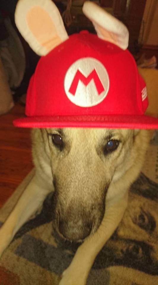 Zelda Loving Her Hat!, click to load a larger version