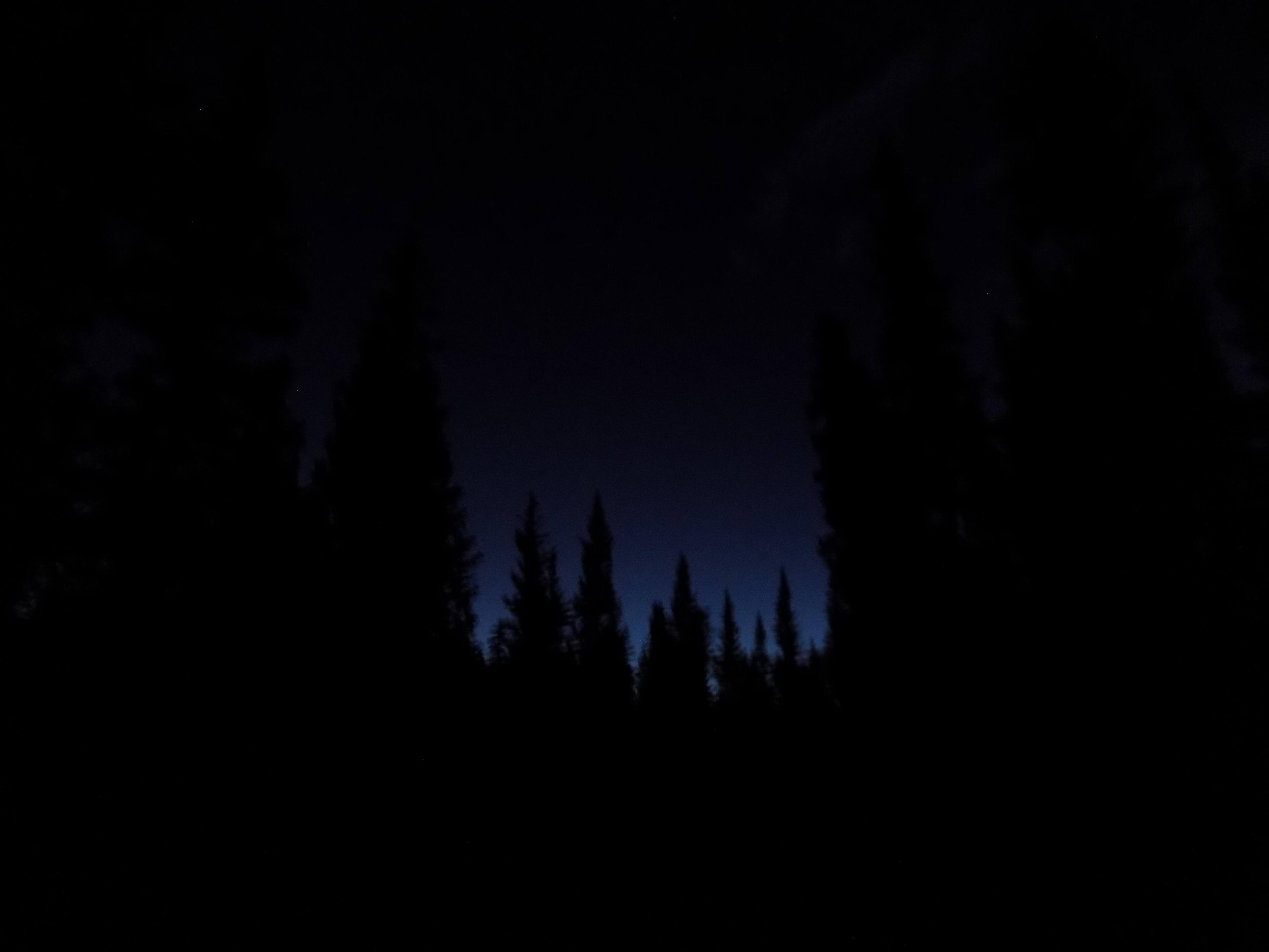 original, click to load a larger version