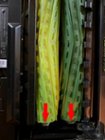 The anti tangle works very well but watch out for hair building under the bracket where the arrows illustrate. Over time it can cause damage., click to load a larger version
