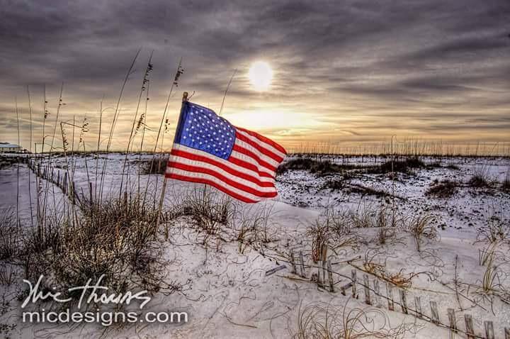 Home of the Brave!, click to load a larger version