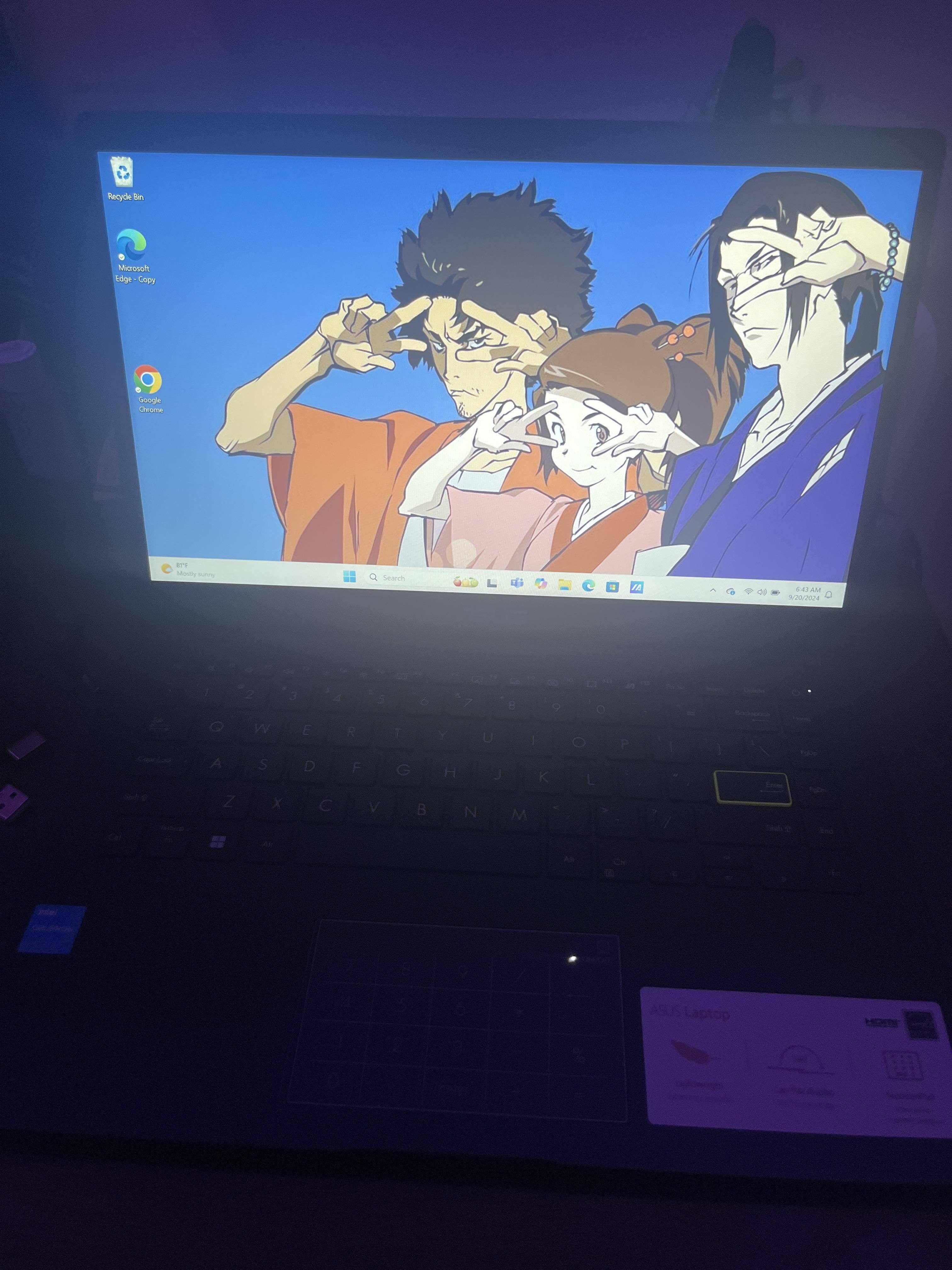 Customer provided, click to load a larger version