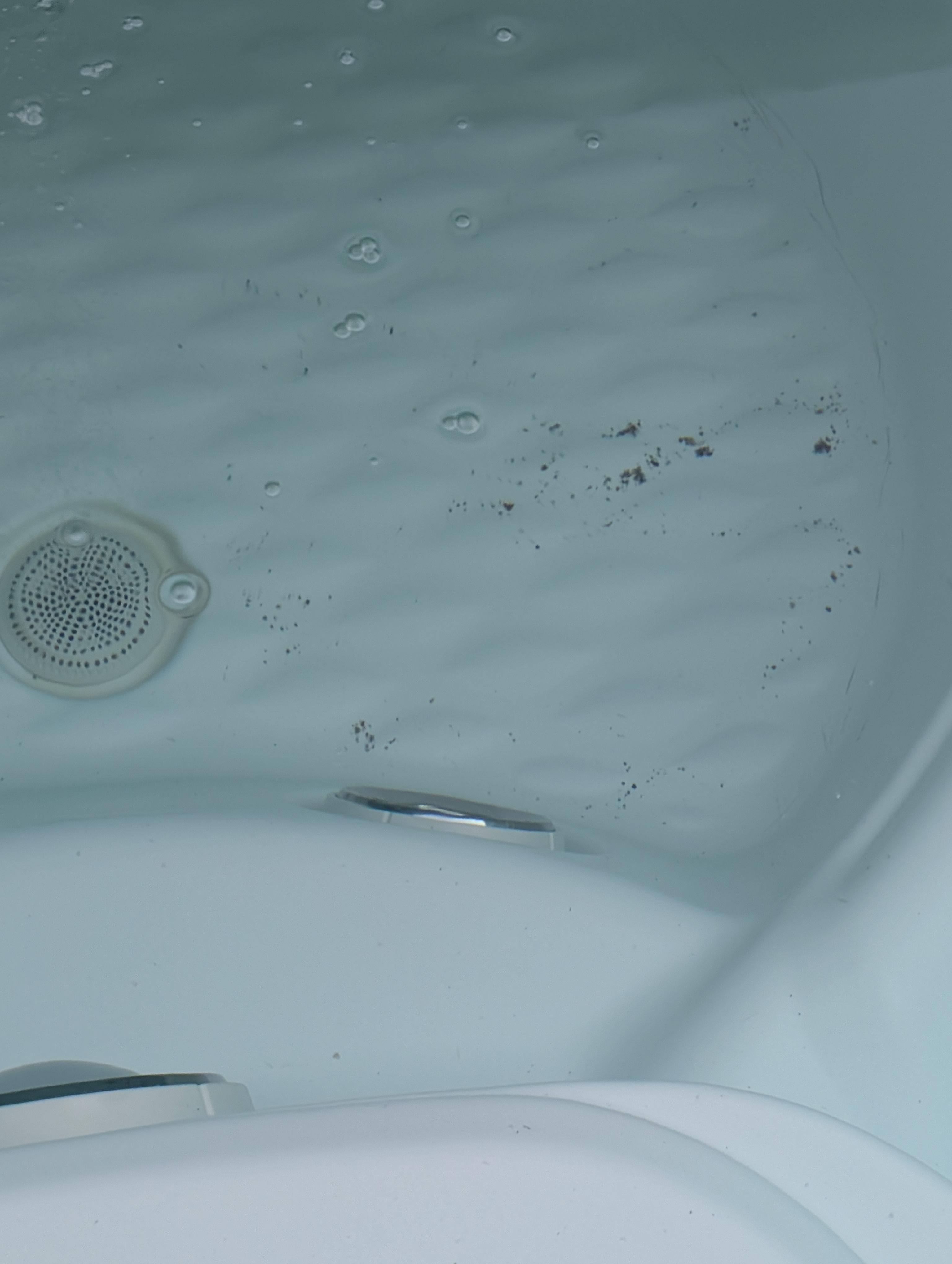 Before picture, note shingle particles, click to load a larger version