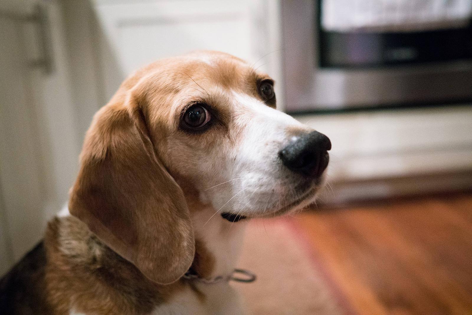 With Zeiss Batis 25mm f/2, click to load a larger version