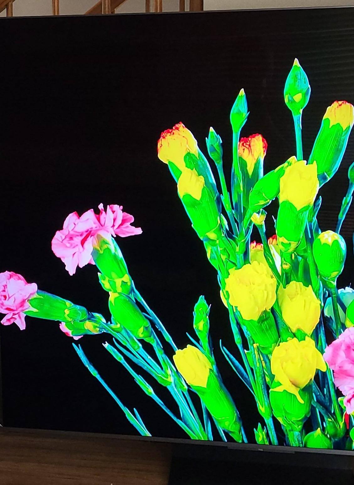 Vivid colors and outstanding green reproduction, click to load a larger version