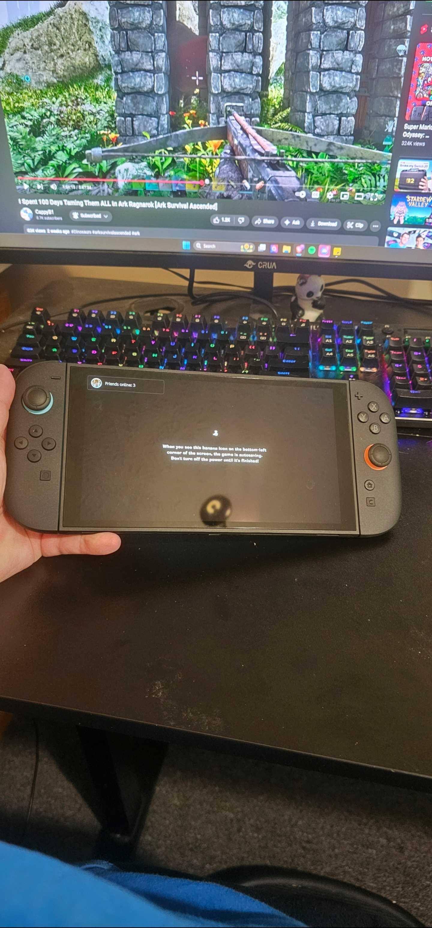 Customer provided, click to load a larger version