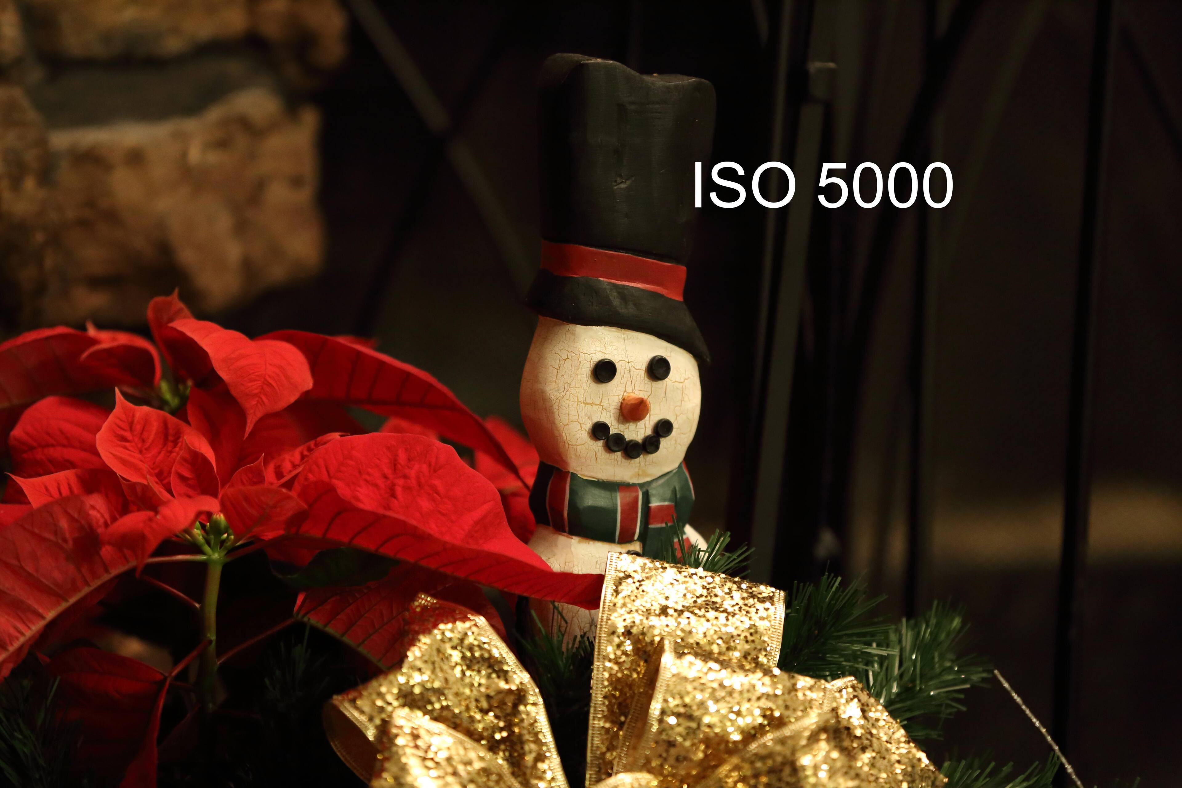 ISO5000, click to load a larger version