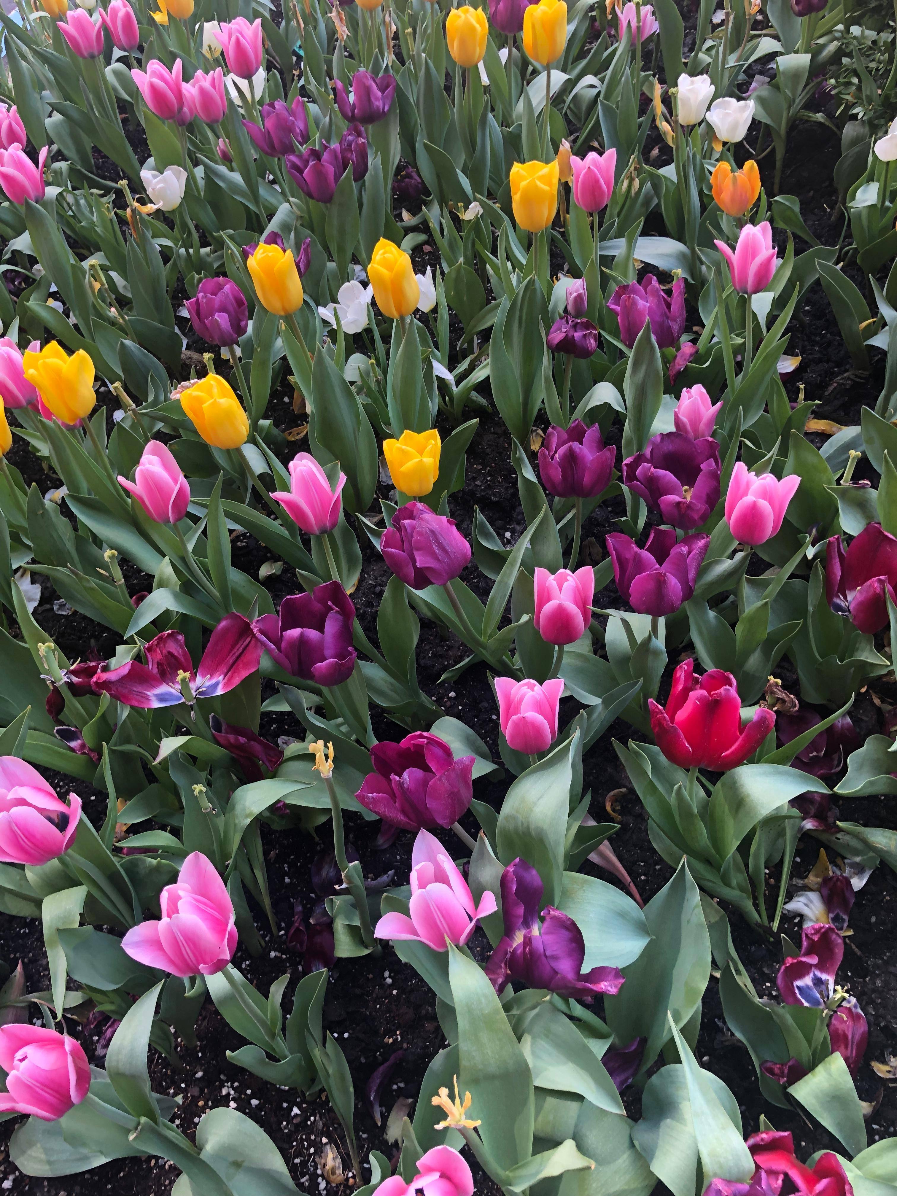 Summer, click to load a larger version