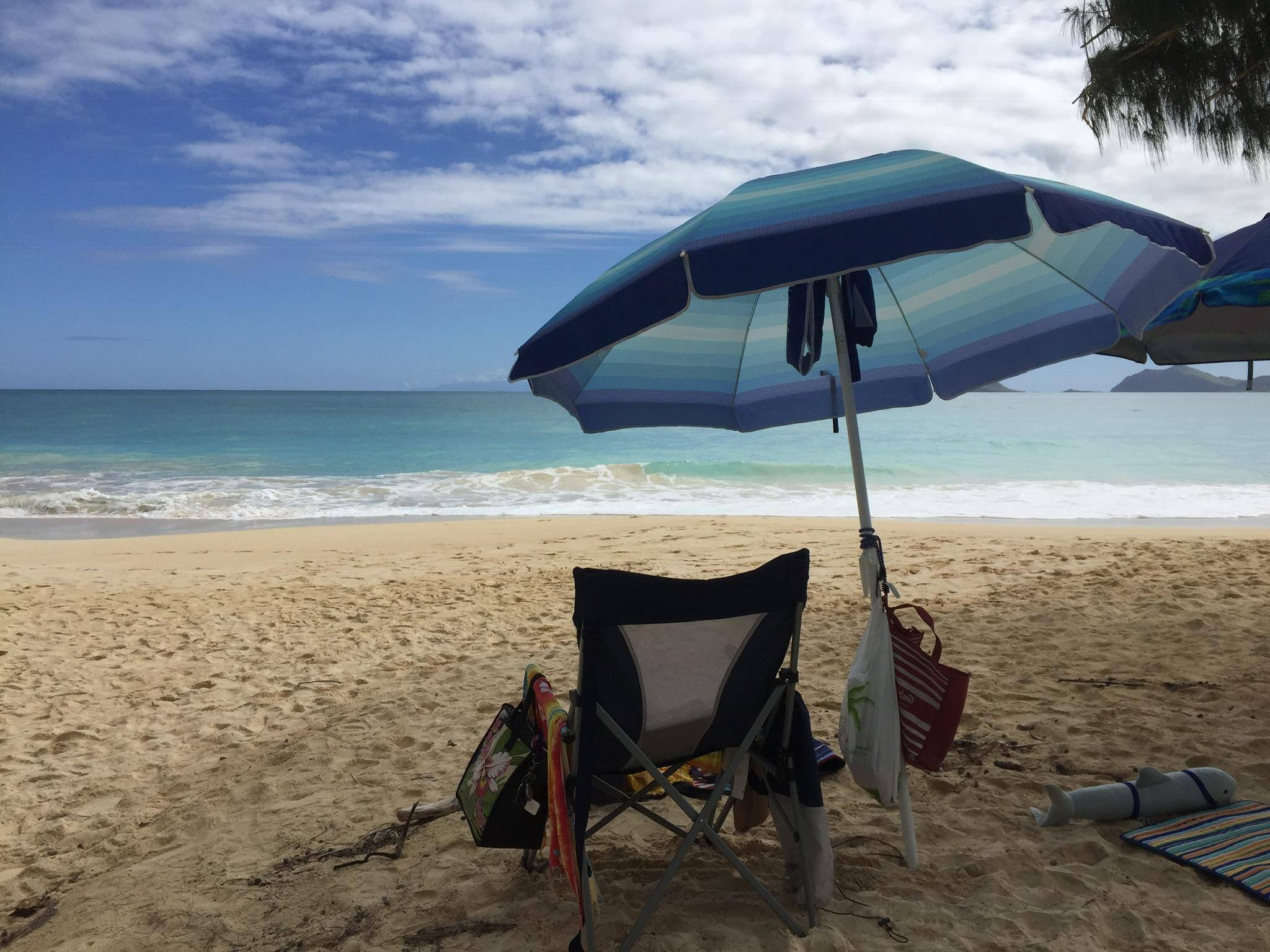 Hawaii, click to load a larger version