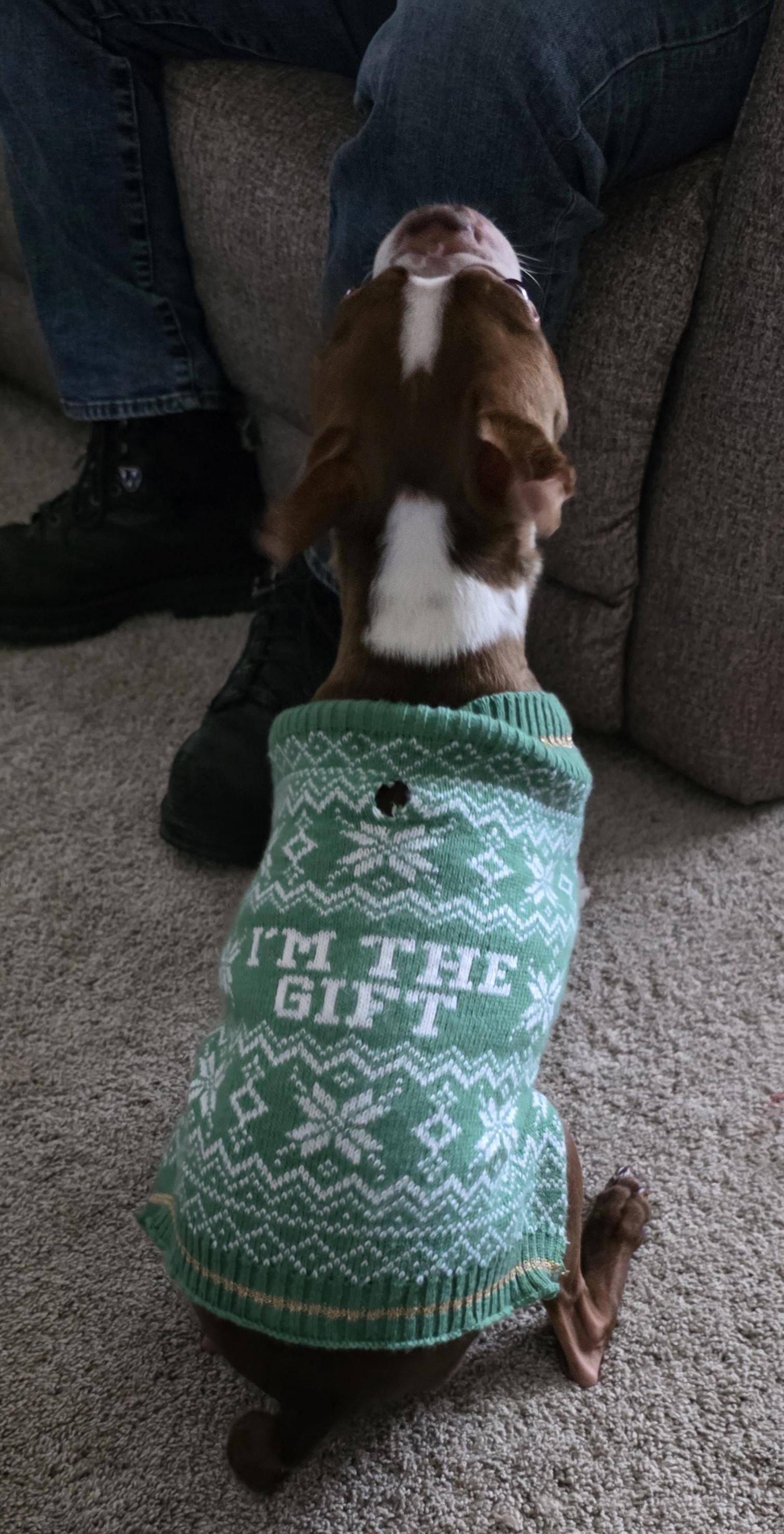 Customer provided, click to load a larger version