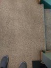 Clean Carpet including Fresh knapping on Cleaned Area, click to load a larger version